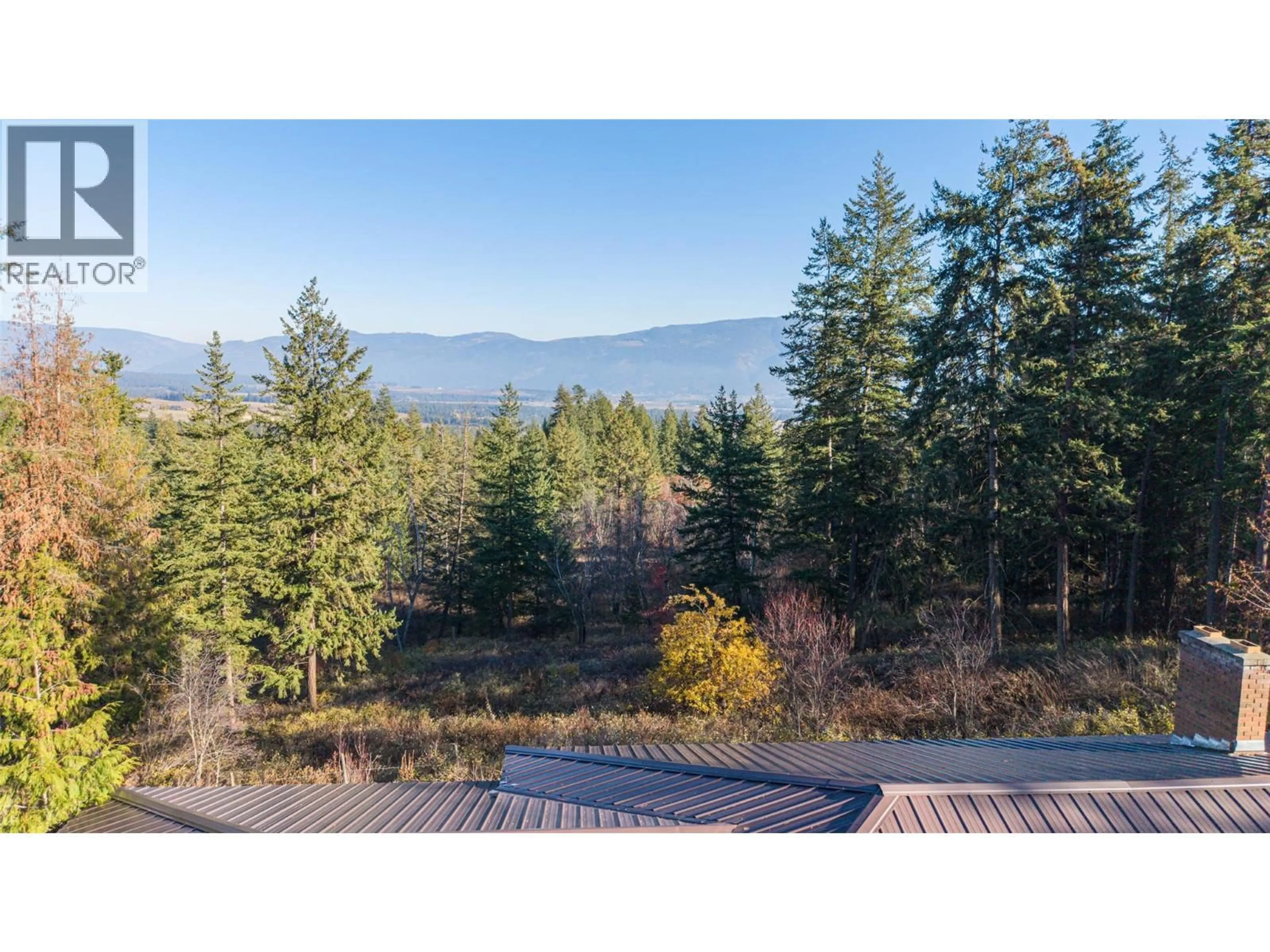 A pic from outside/outdoor area/front of a property/back of a property/a pic from drone, forest/trees view for 4358 CHAMBERLAIN ROAD, Spallumcheen British Columbia V4Y0M1