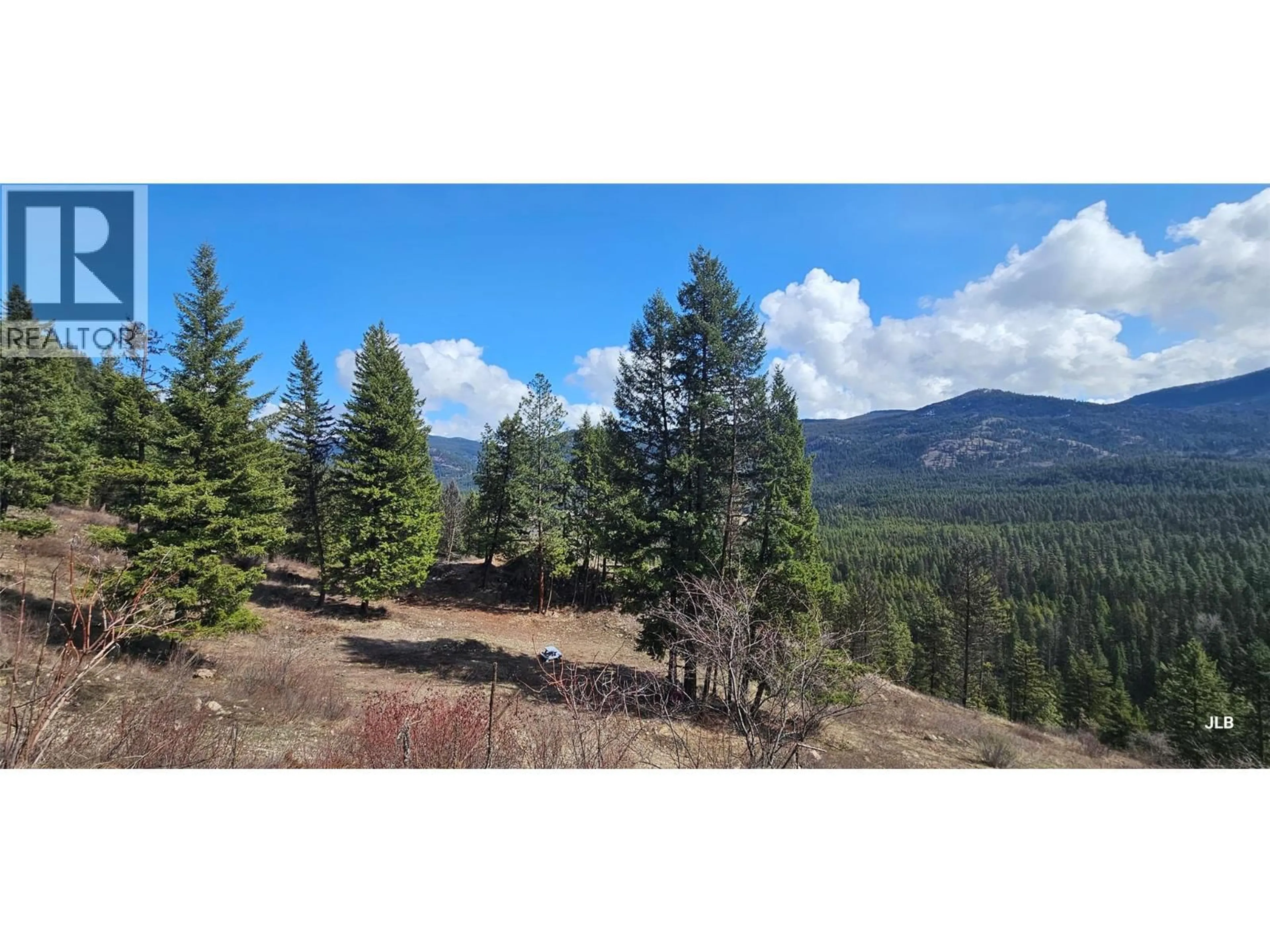 A pic from outside/outdoor area/front of a property/back of a property/a pic from drone, forest/trees view for 17KM CHRISTIAN VALLEY ROAD, Westbridge British Columbia V0H1Y0