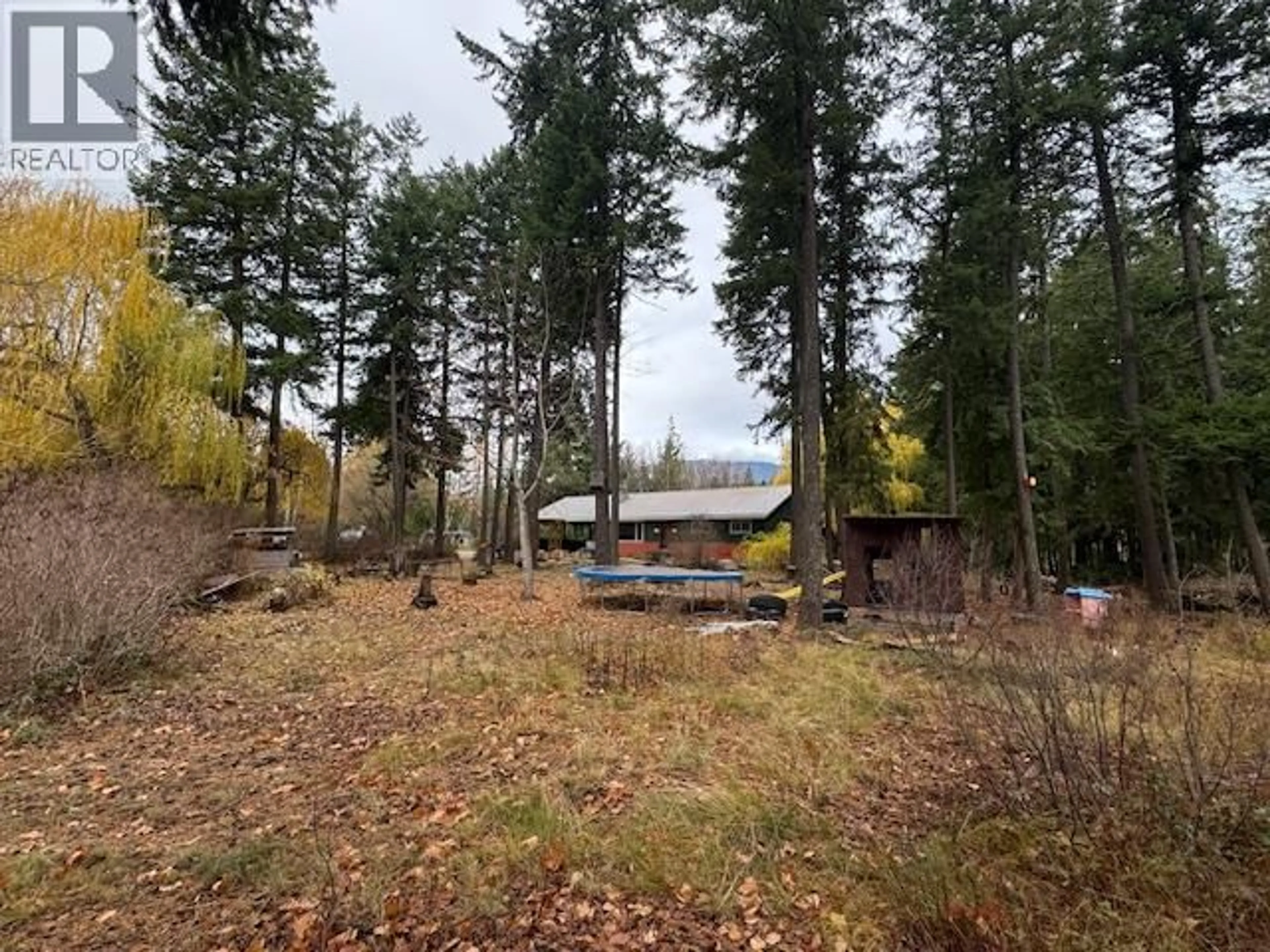 A pic from outside/outdoor area/front of a property/back of a property/a pic from drone, forest/trees view for 1059 TAPPEN VALLEY ROAD, Tappen British Columbia V0E2X3
