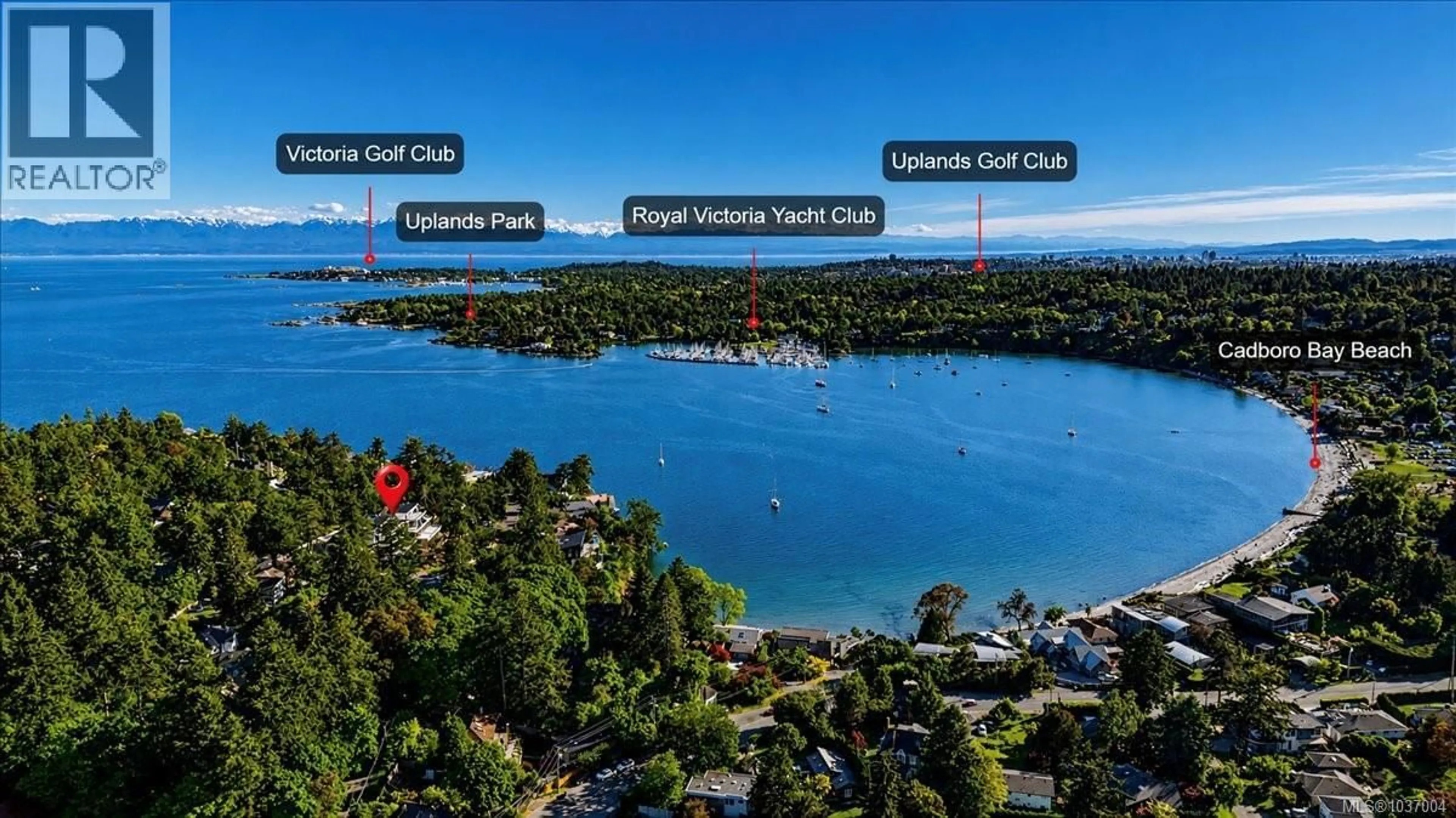 A pic from outside/outdoor area/front of a property/back of a property/a pic from drone, water/lake/river/ocean view for 3 - 2737 TUDOR AVENUE, Saanich British Columbia V8N1L6