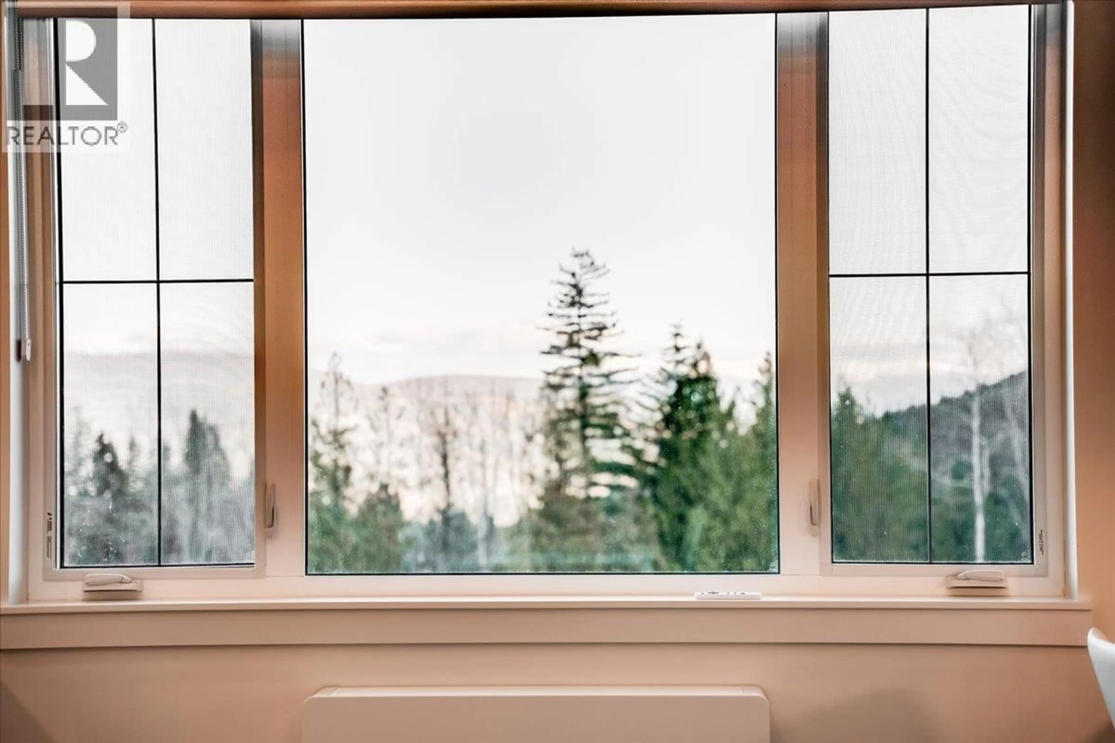 A pic of a room for 417 - 4280 RED MOUNTAIN ROAD, Rossland British Columbia V0G1Y0