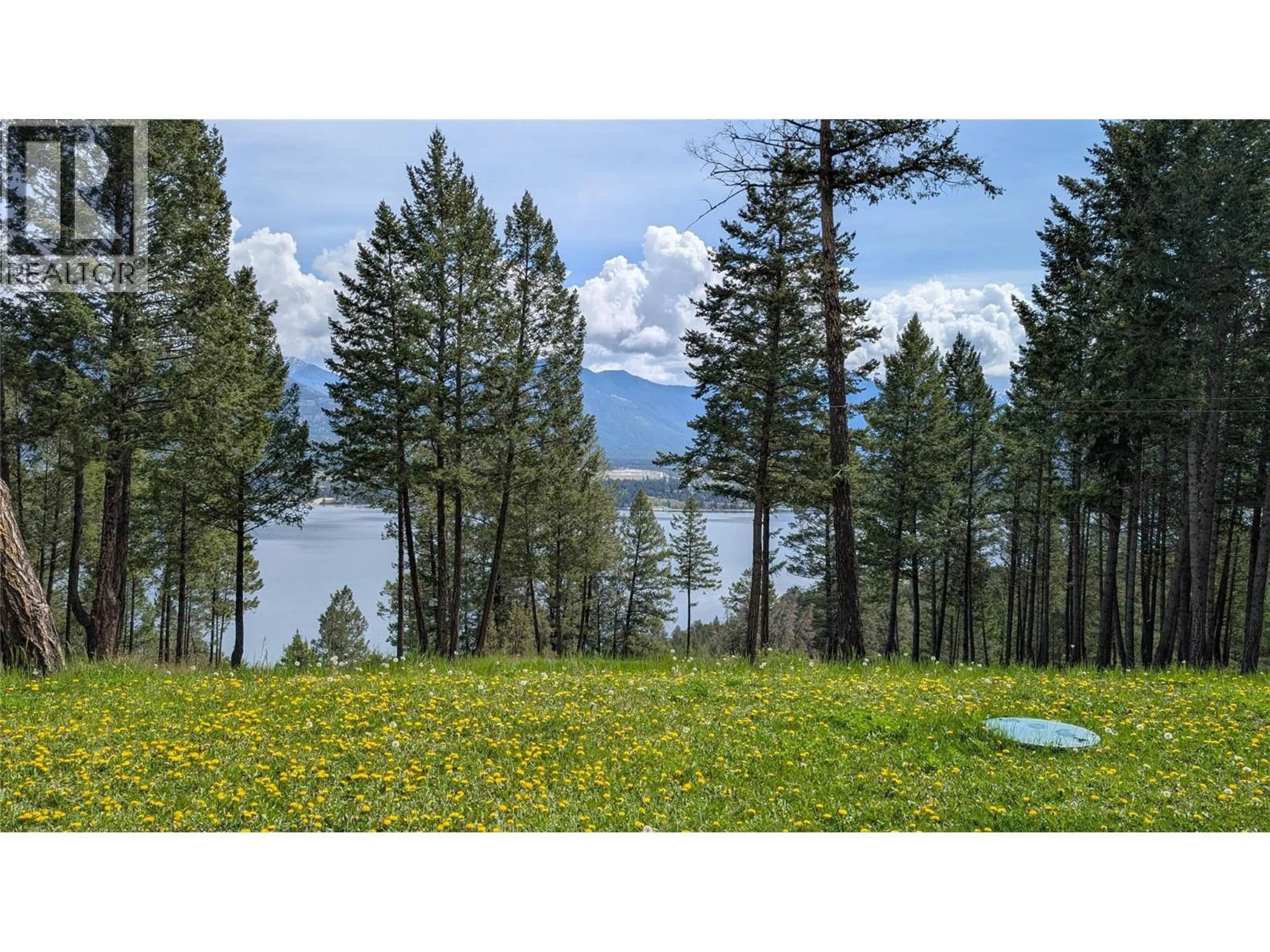 A pic from outside/outdoor area/front of a property/back of a property/a pic from drone, forest/trees view for 4197 COY ROAD, Invermere British Columbia V0A1K4
