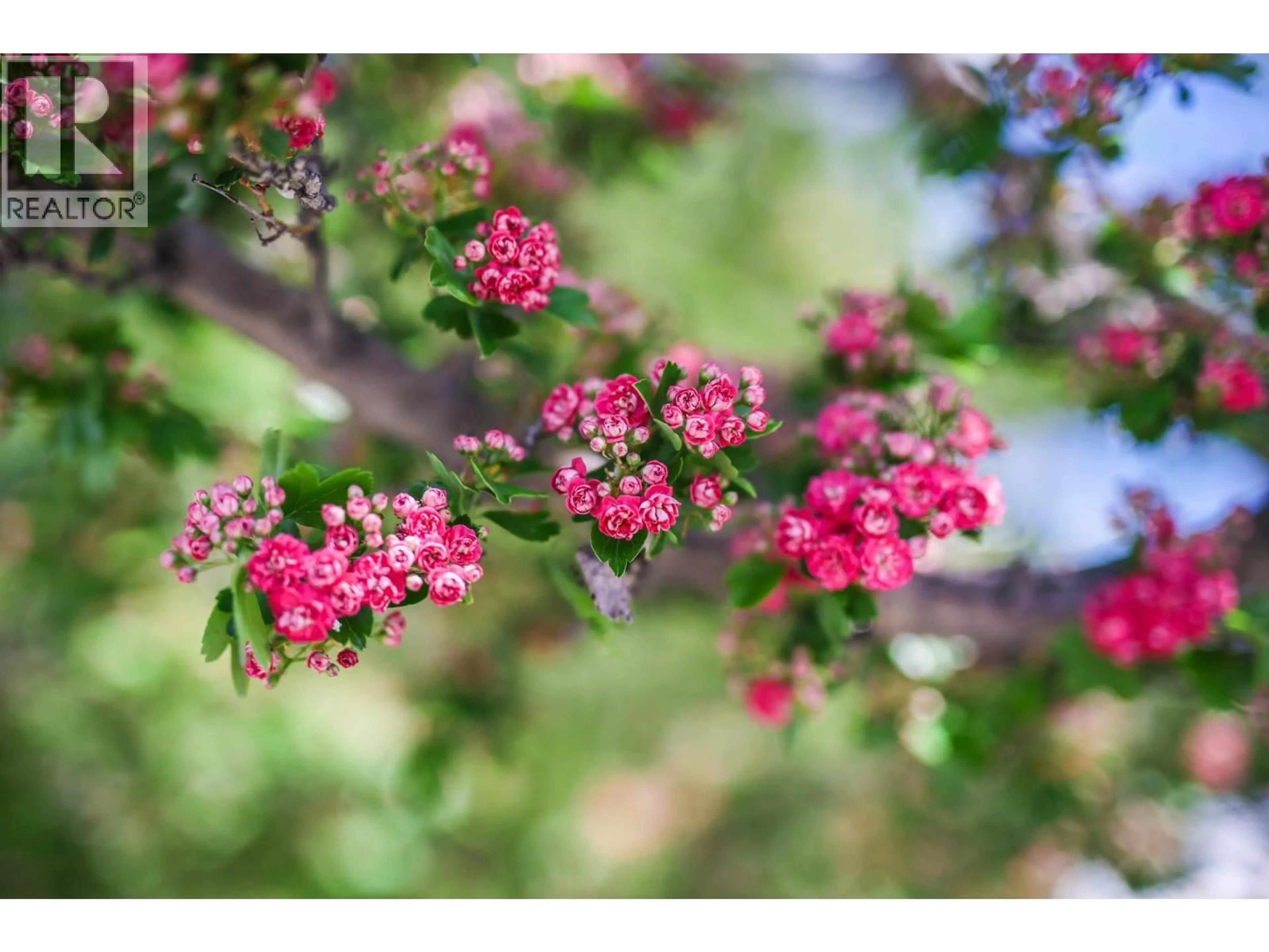 Blurry image for 8009 87TH STREET, Osoyoos British Columbia V0H1V0