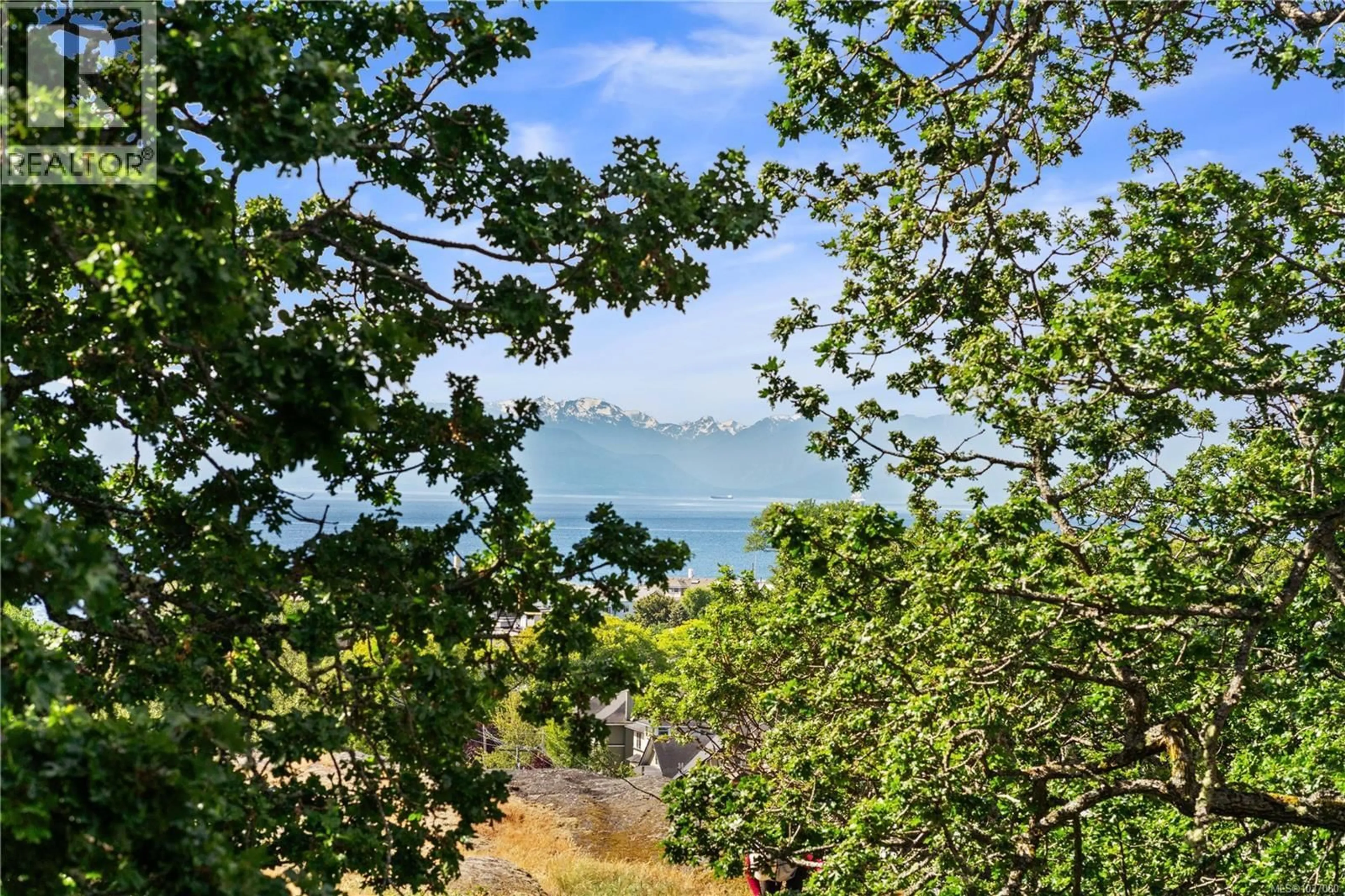 A pic from outside/outdoor area/front of a property/back of a property/a pic from drone, water/lake/river/ocean view for 406 - 1433 FAIRCLIFF LANE, Victoria British Columbia V8S3J6