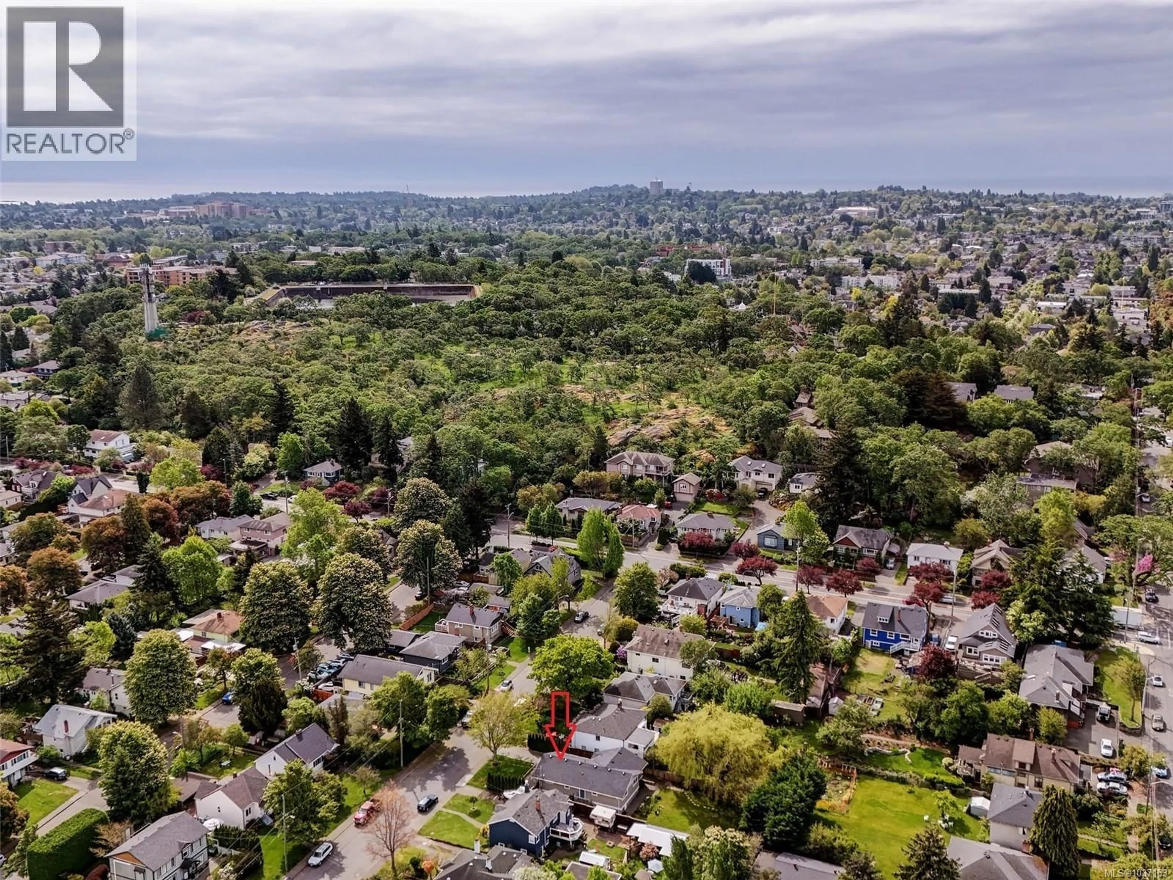 A pic from outside/outdoor area/front of a property/back of a property/a pic from drone, mountain view for 3130 SOMERSET STREET, Victoria British Columbia V8X1C7