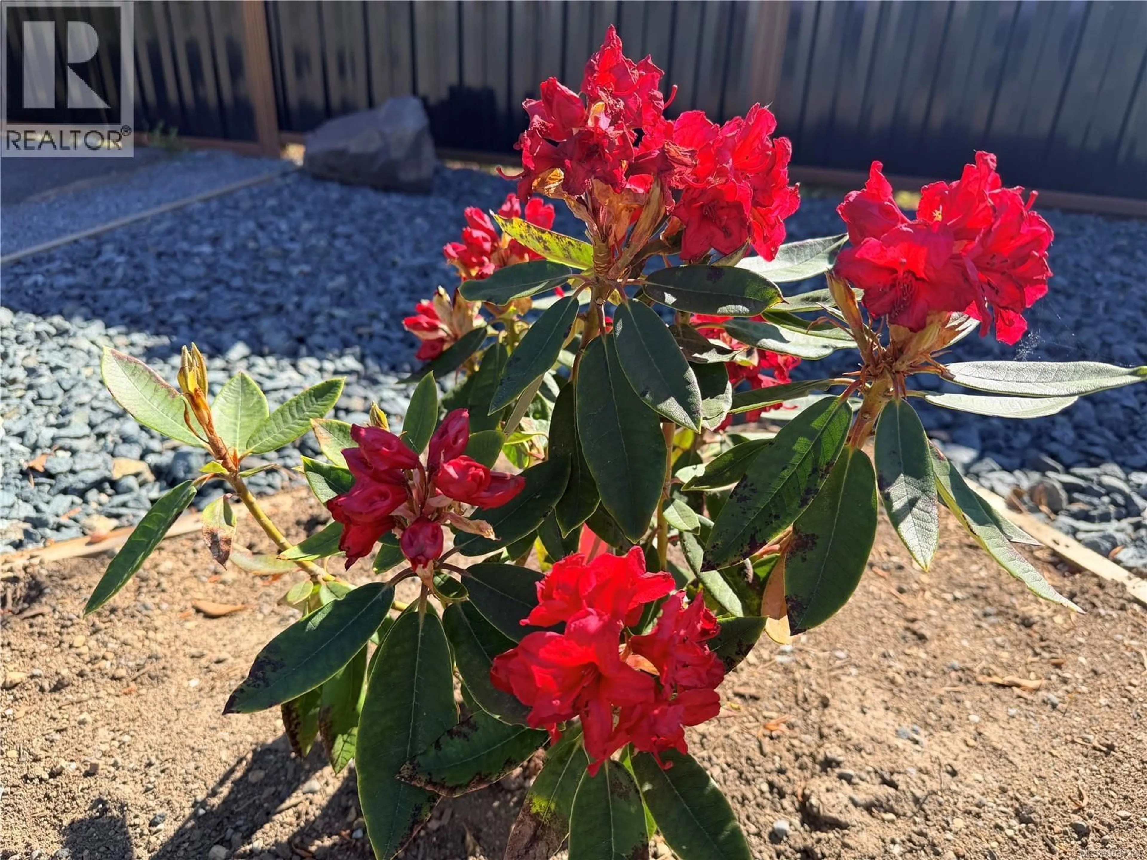 A pic from outside/outdoor area/front of a property/back of a property/a pic from drone, street for 302 WILLOW STREET, Parksville British Columbia V9P1C7