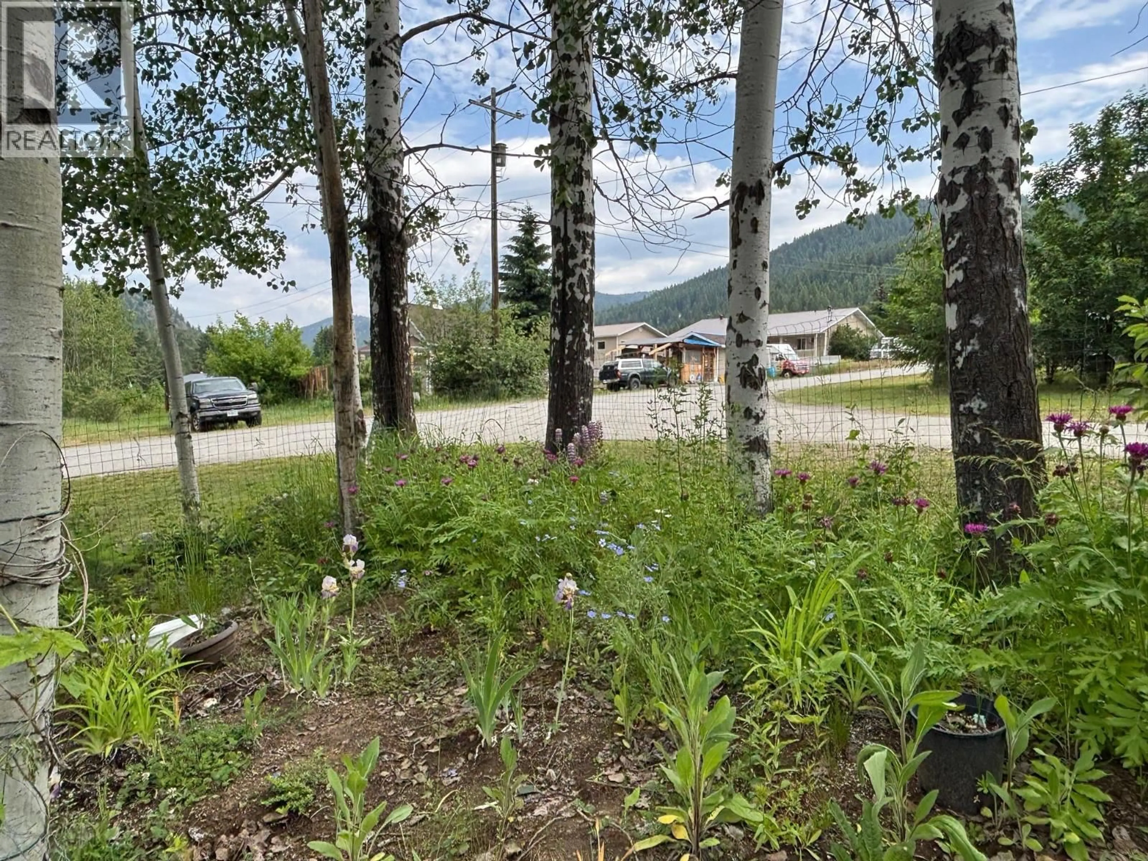 A pic from outside/outdoor area/front of a property/back of a property/a pic from drone, forest/trees view for 360 3RD STREET, Greenwood British Columbia V0H1J0