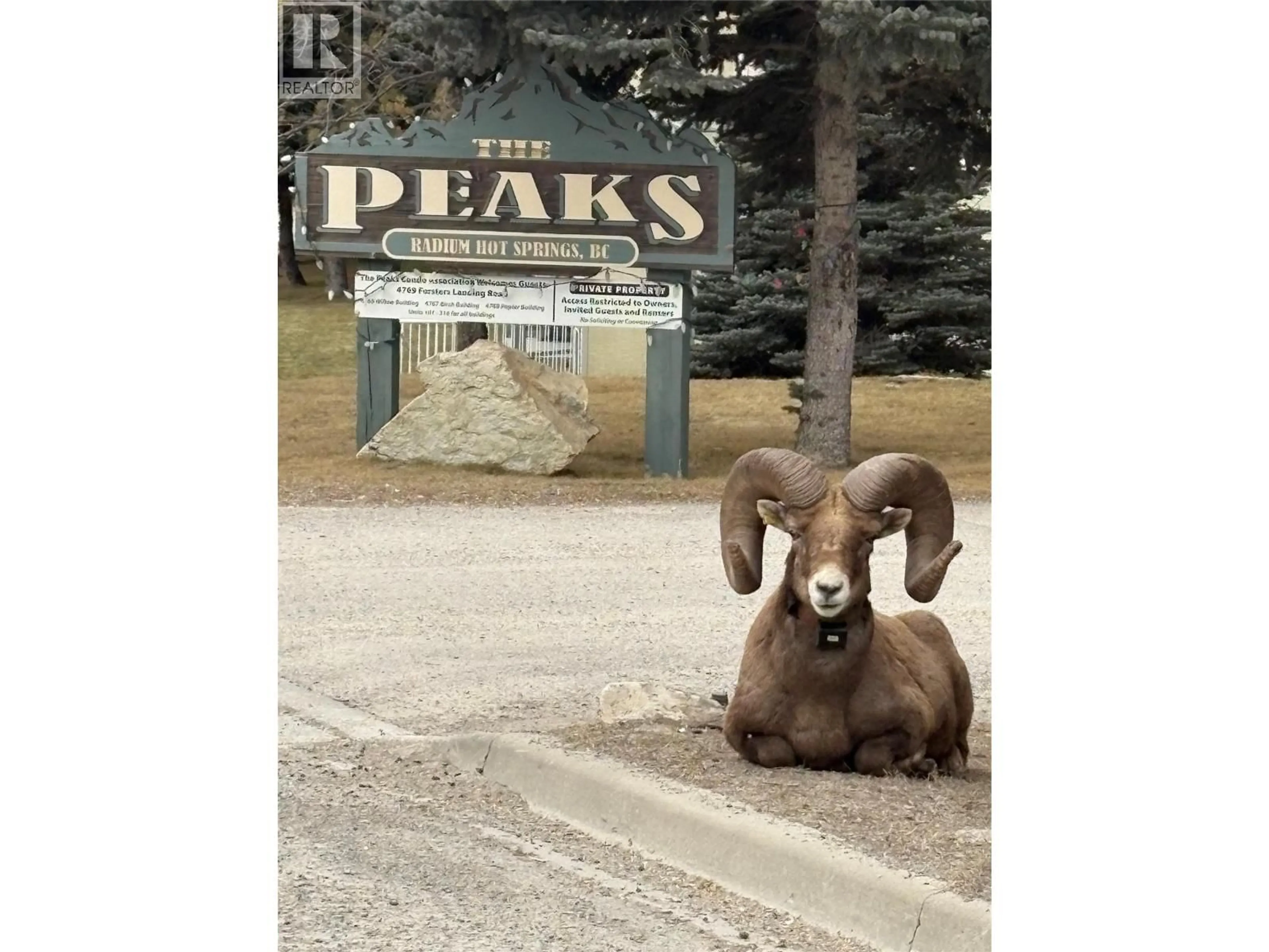 Blurry image for 209 - 4769 FORSTERS LANDING ROAD, Radium Hot Springs British Columbia V0A1M0