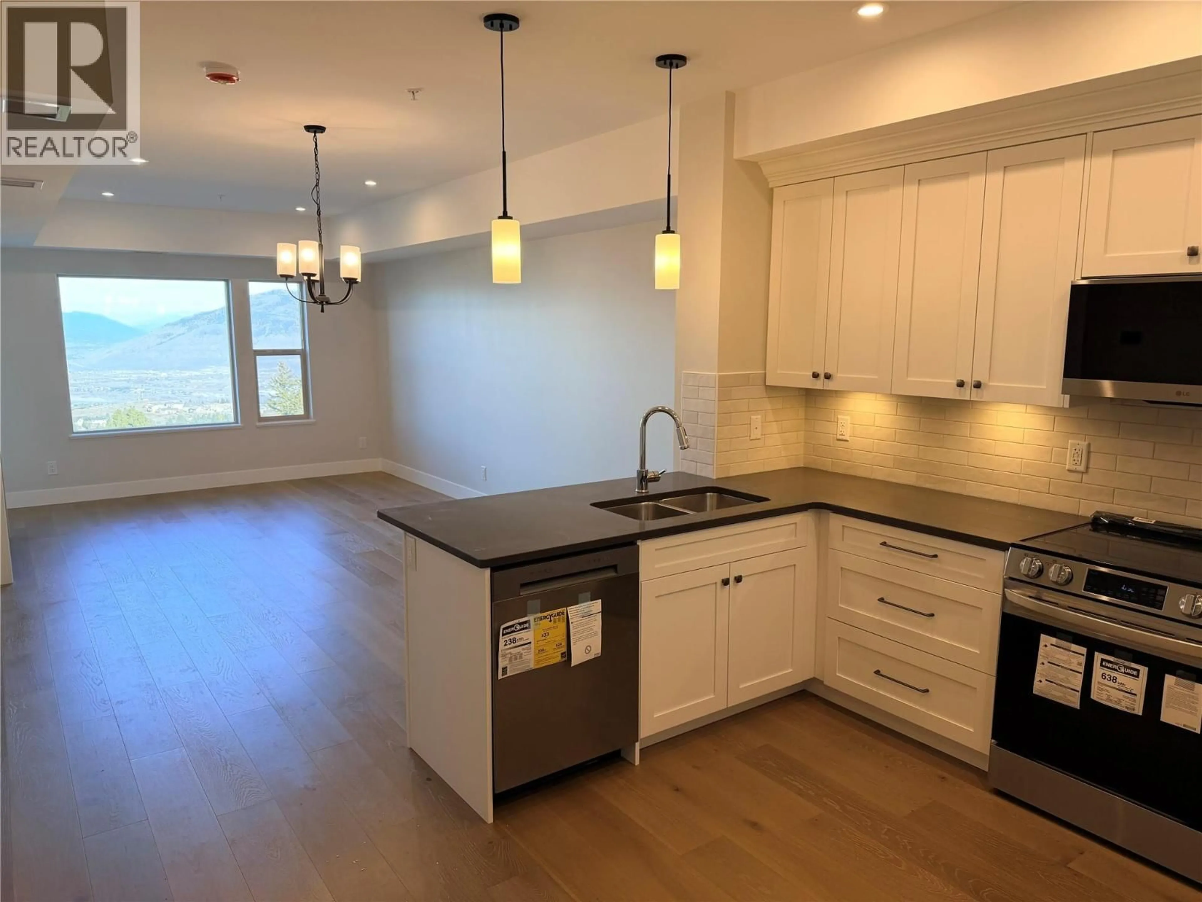 Open concept kitchen, unknown for 201 - 2171 VAN HORNE DRIVE, Kamloops British Columbia V1S0E2
