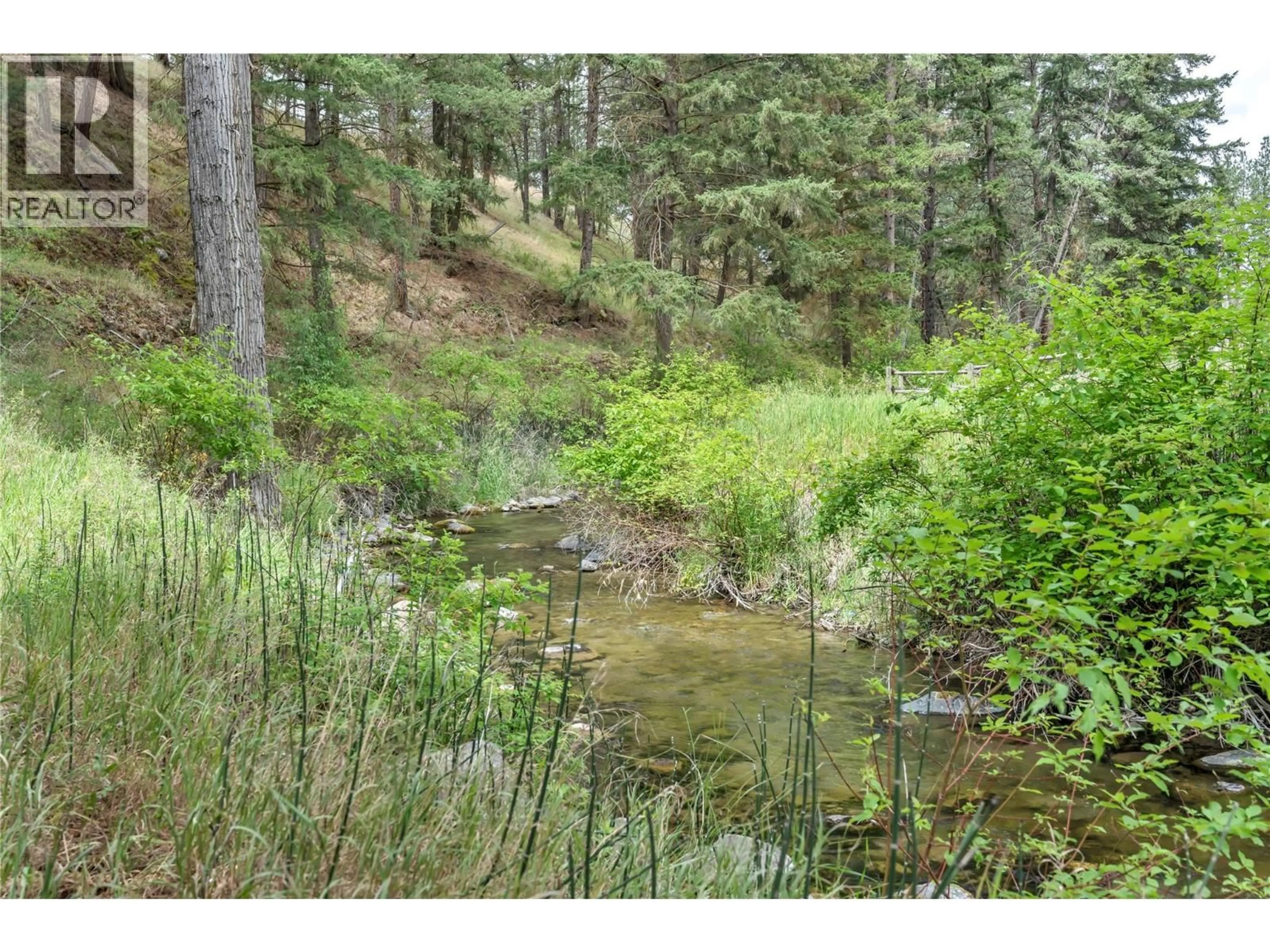 Blurry image for 364 PRINCETON SUMMERLAND ROAD, Princeton British Columbia V0X1W0