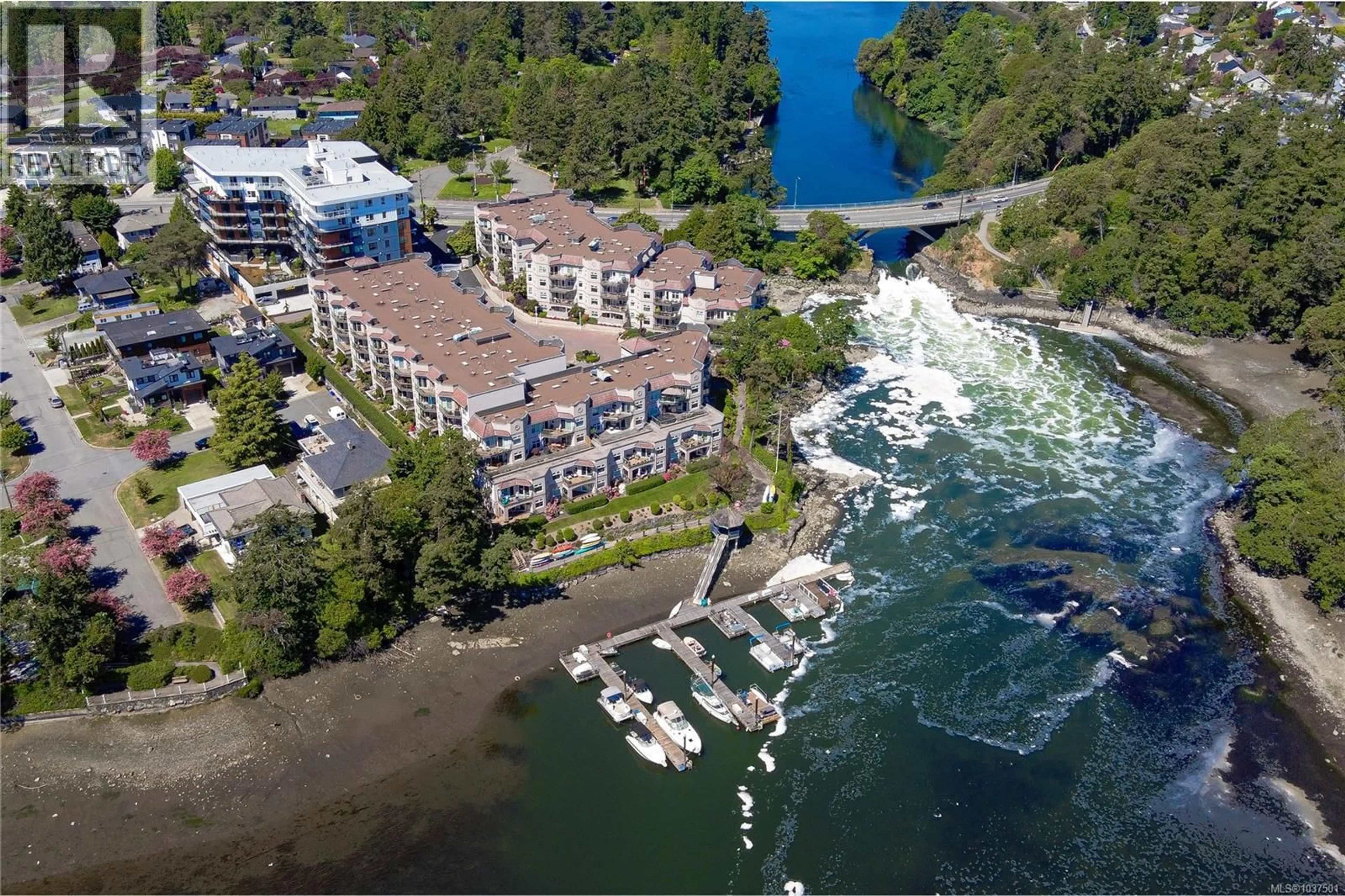 A pic from outside/outdoor area/front of a property/back of a property/a pic from drone, water/lake/river/ocean view for 5 - 1083 TILLICUM ROAD, Esquimalt British Columbia V9A7L7