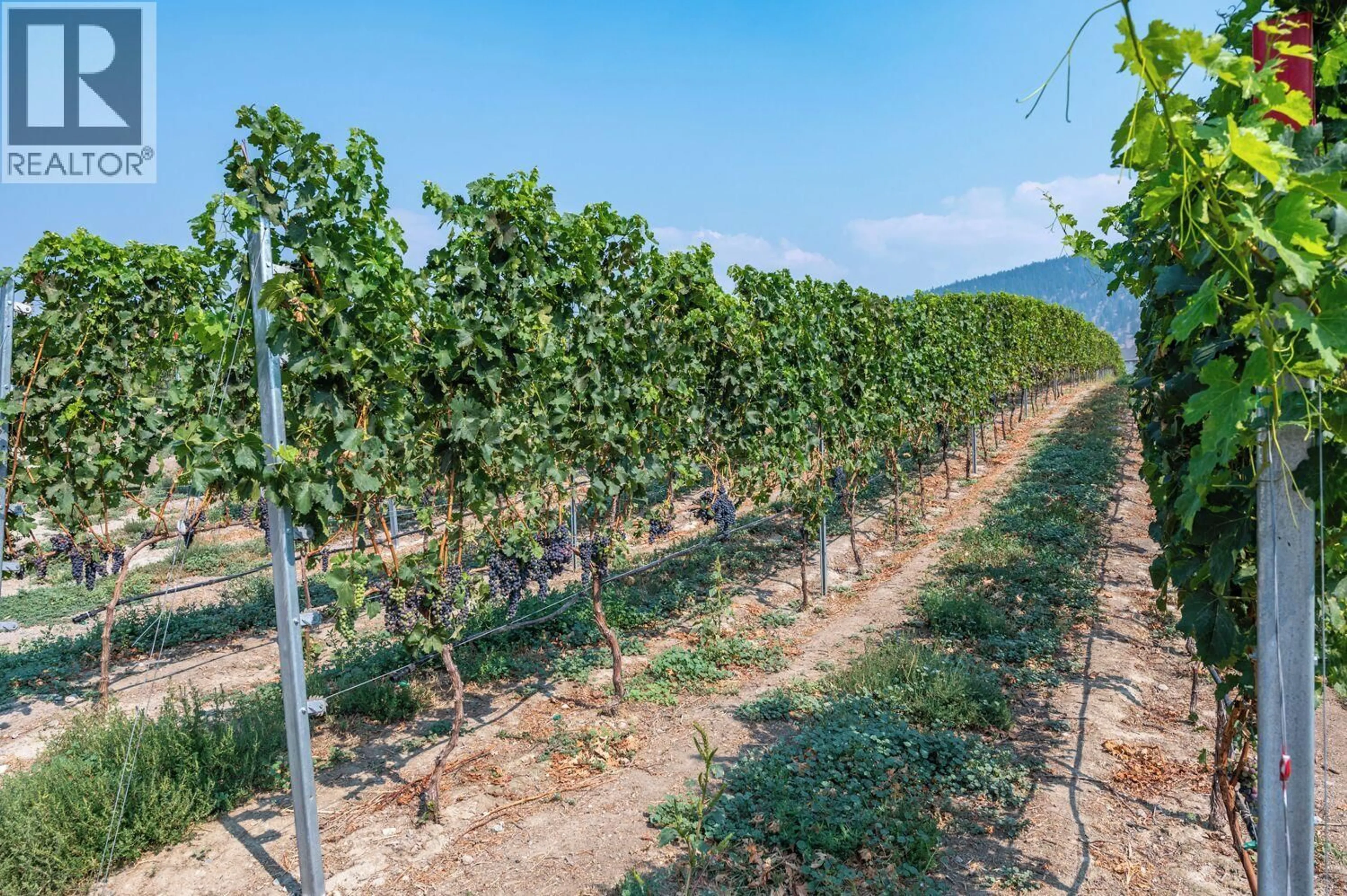 Patio, unknown for 168 LOWER BENCH ROAD, Penticton British Columbia V2A1A8