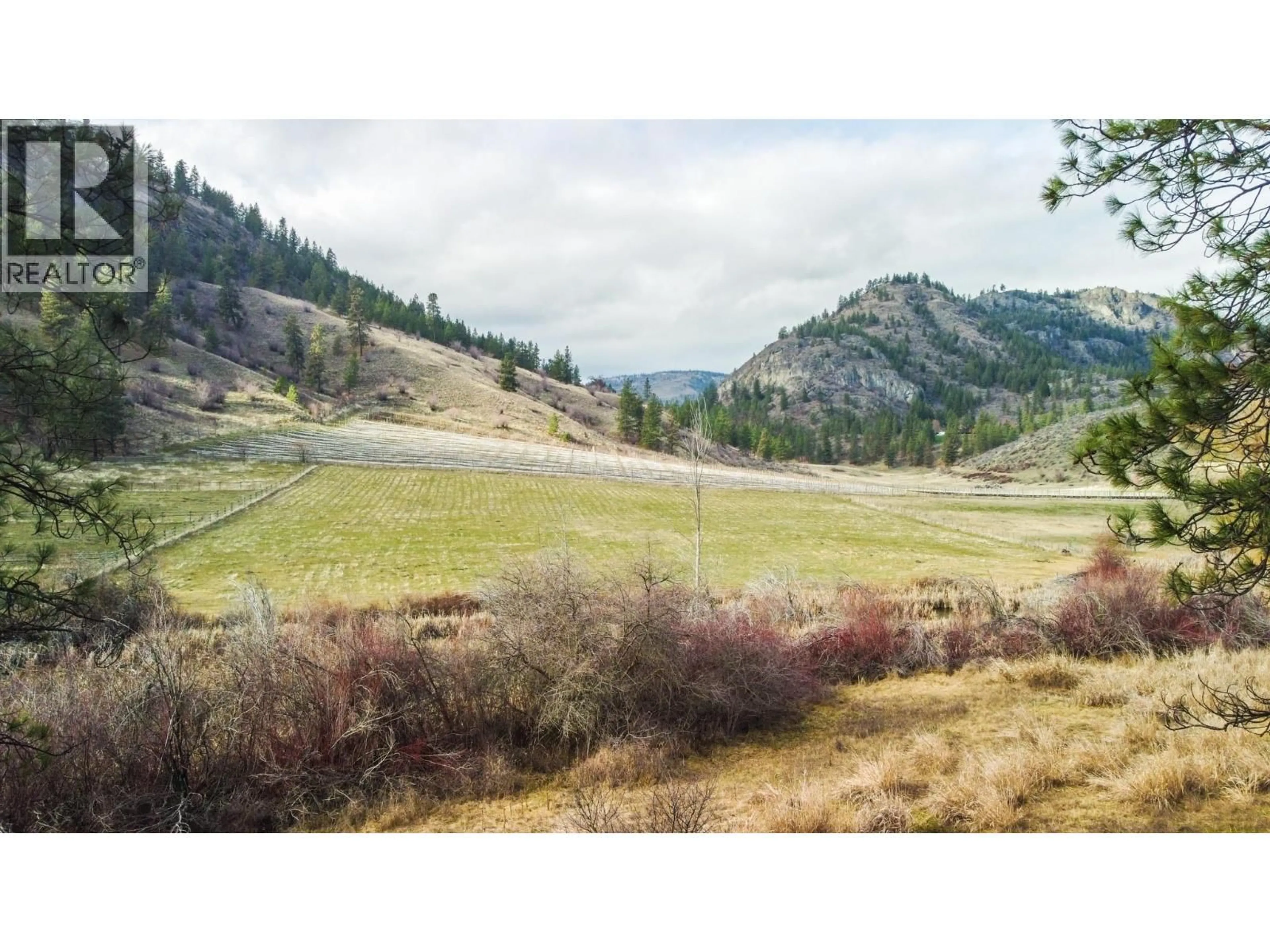 Blurry image for 698 GREEN LAKE ROAD, Oliver British Columbia V0H1T5