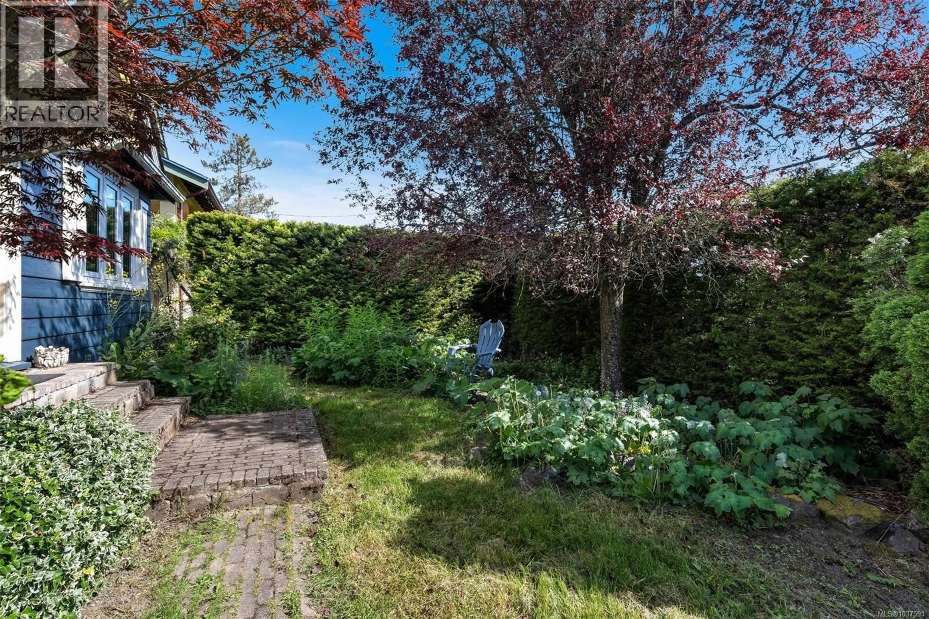 A pic from outside/outdoor area/front of a property/back of a property/a pic from drone, forest/trees view for 16 LOTUS STREET, Victoria British Columbia V9A1P4