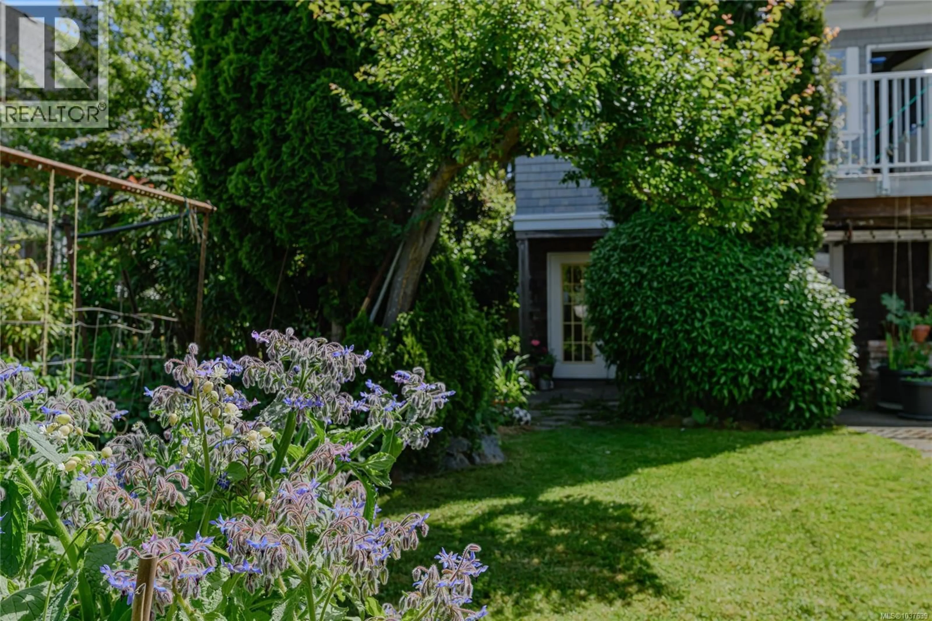 Shed for 842 PRINCESS AVENUE, Victoria British Columbia V8T1K7