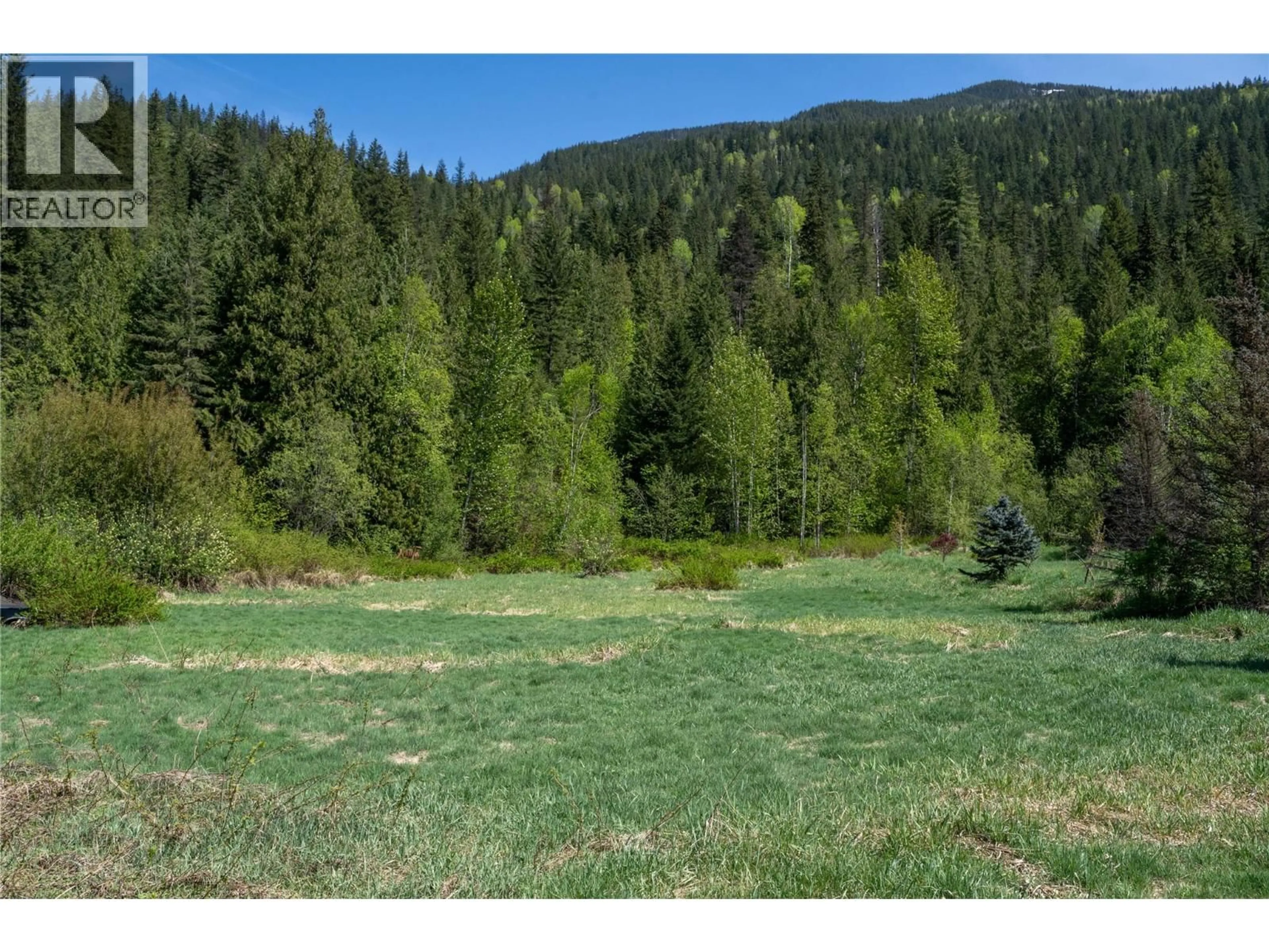 A pic from outside/outdoor area/front of a property/back of a property/a pic from drone, forest/trees view for 1918 CAMOZZI ROAD, Revelstoke British Columbia V0E2S0