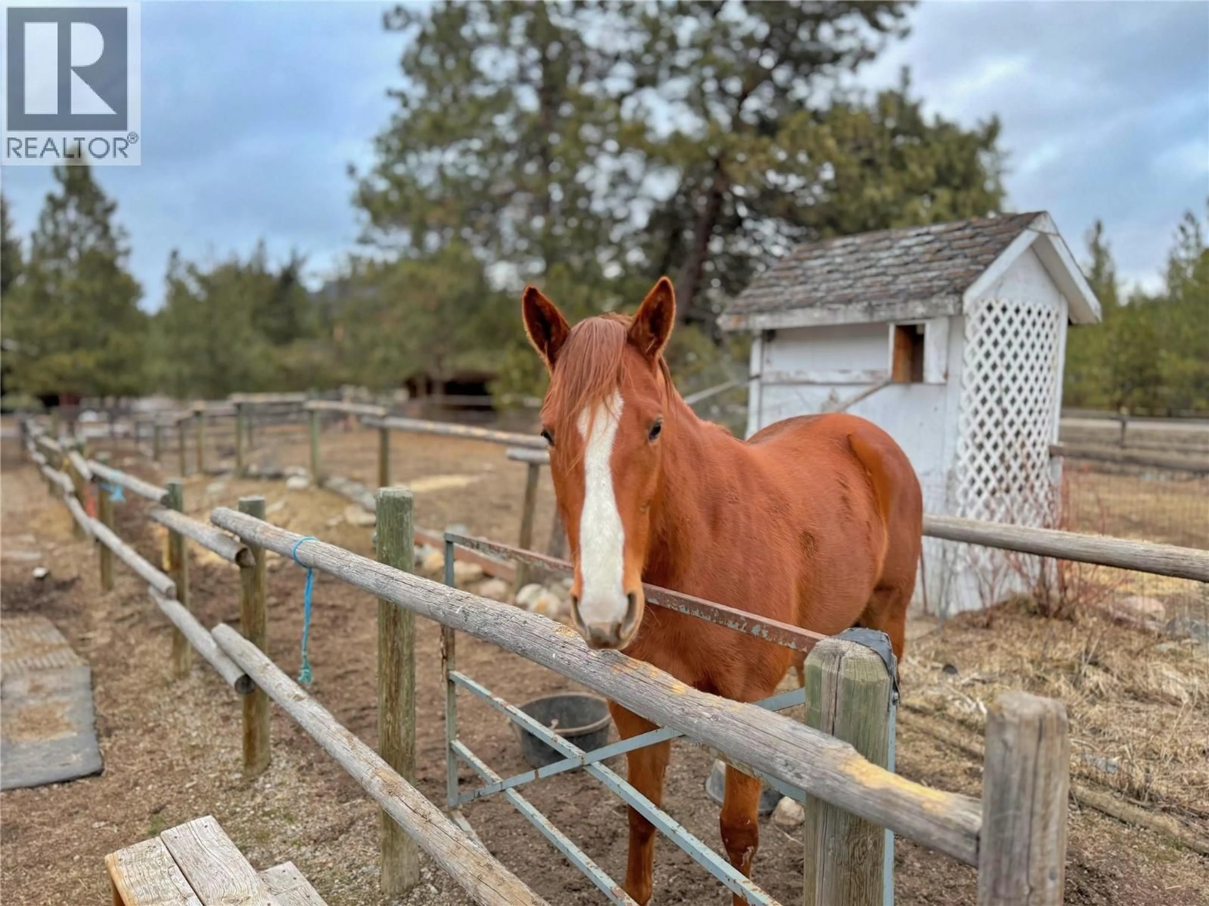 Blurry image for 849 OLD PRINCETON-MERRITT HIGHWAY, Princeton British Columbia V0X1W0