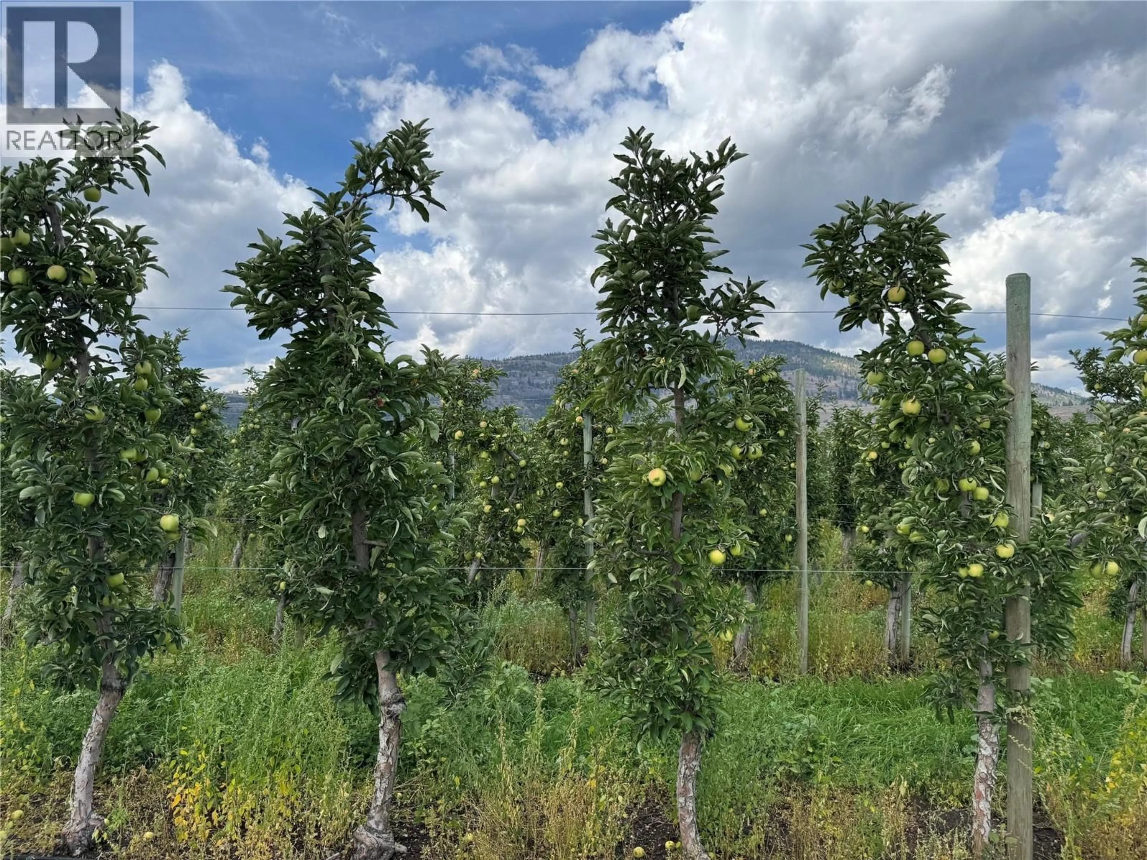 Unknown for 15812 LOGIE ROAD, Summerland British Columbia V0H1Z6