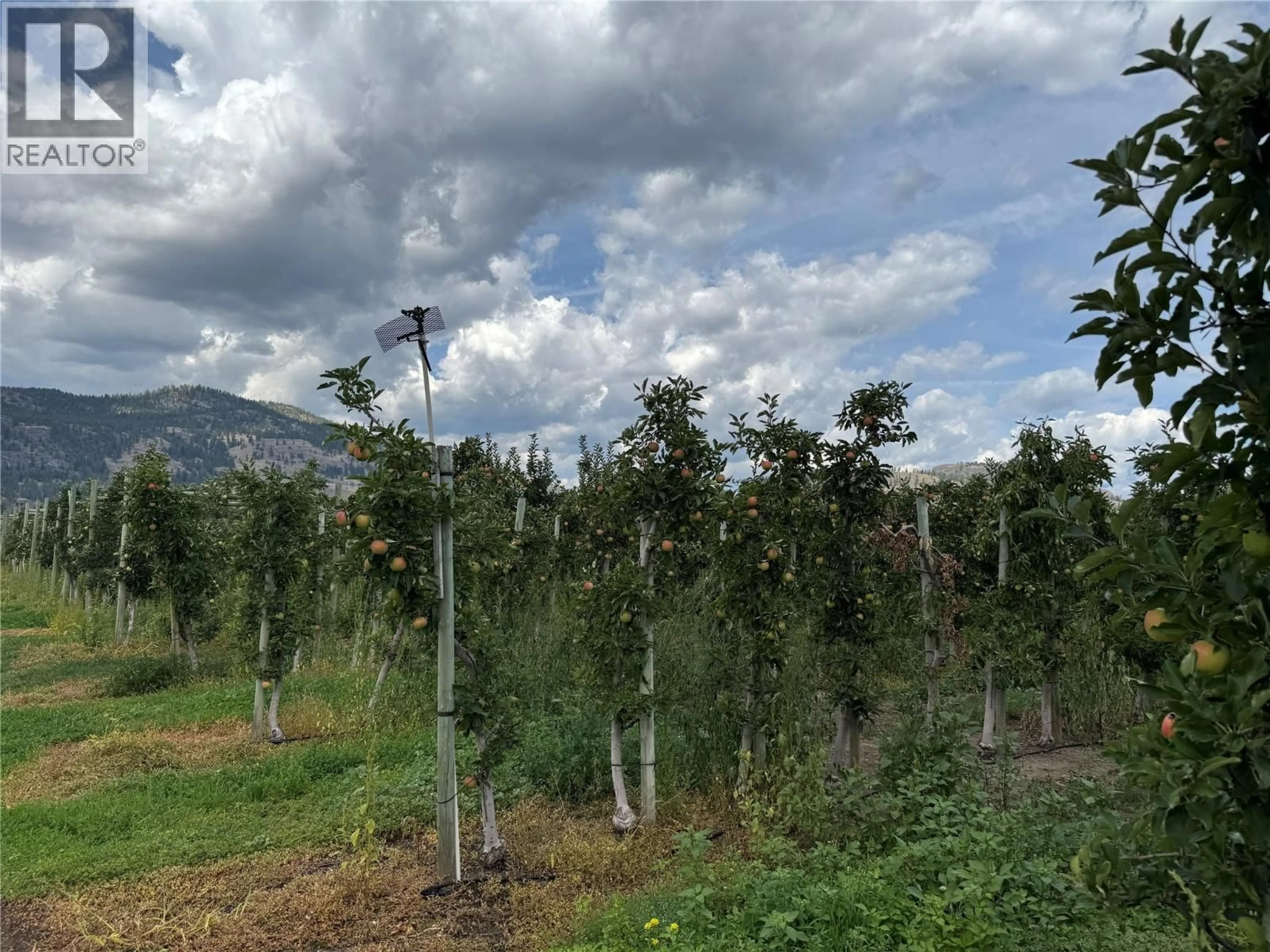 Blurry image for 15812 LOGIE ROAD, Summerland British Columbia V0H1Z6