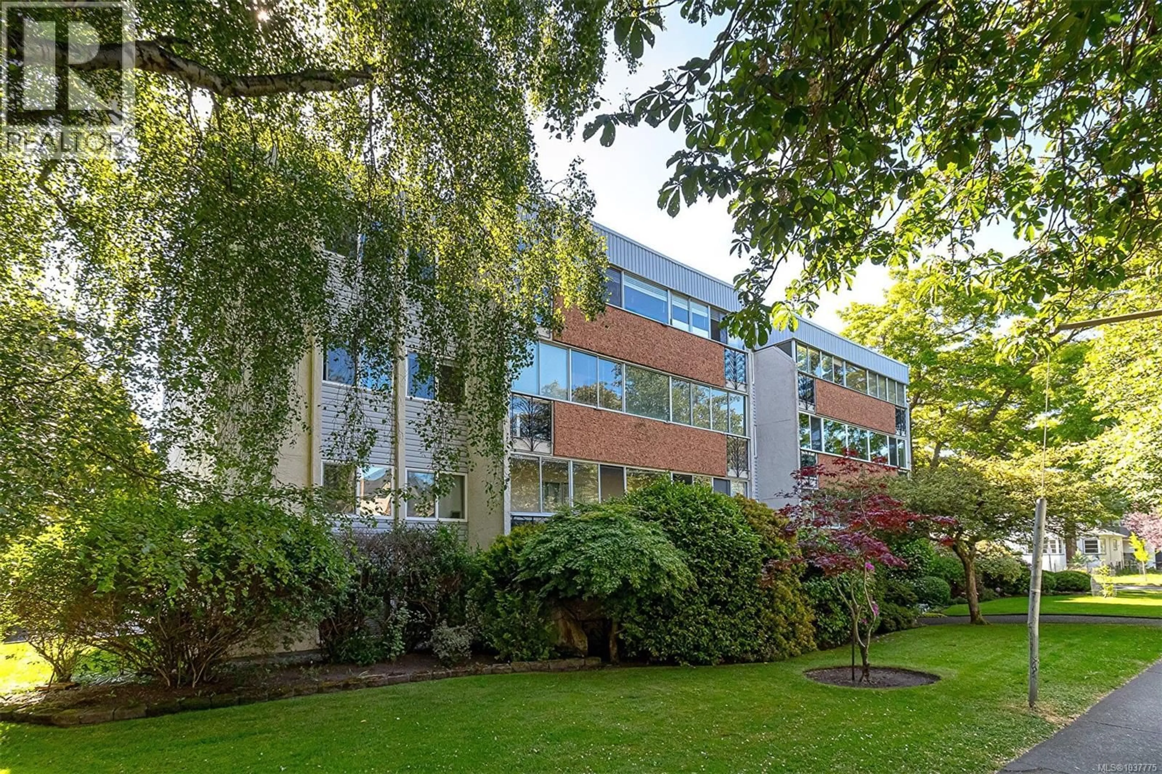 Patio, building for 204 - 605 COOK STREET, Victoria British Columbia V8V3Y6
