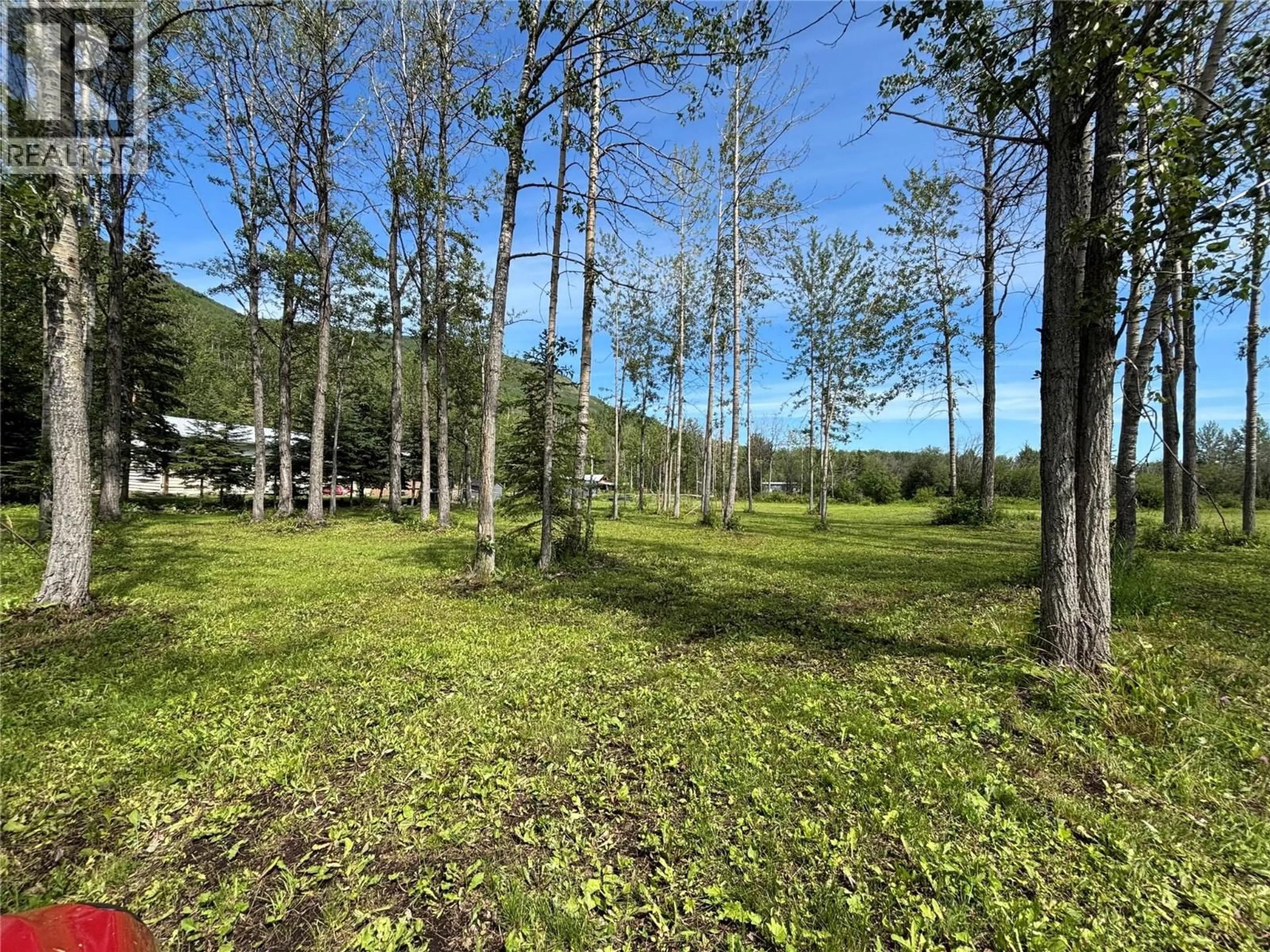 A pic from outside/outdoor area/front of a property/back of a property/a pic from drone, forest/trees view for 6379 WILDMARE OTHER, Chetwynd British Columbia V0C1J0