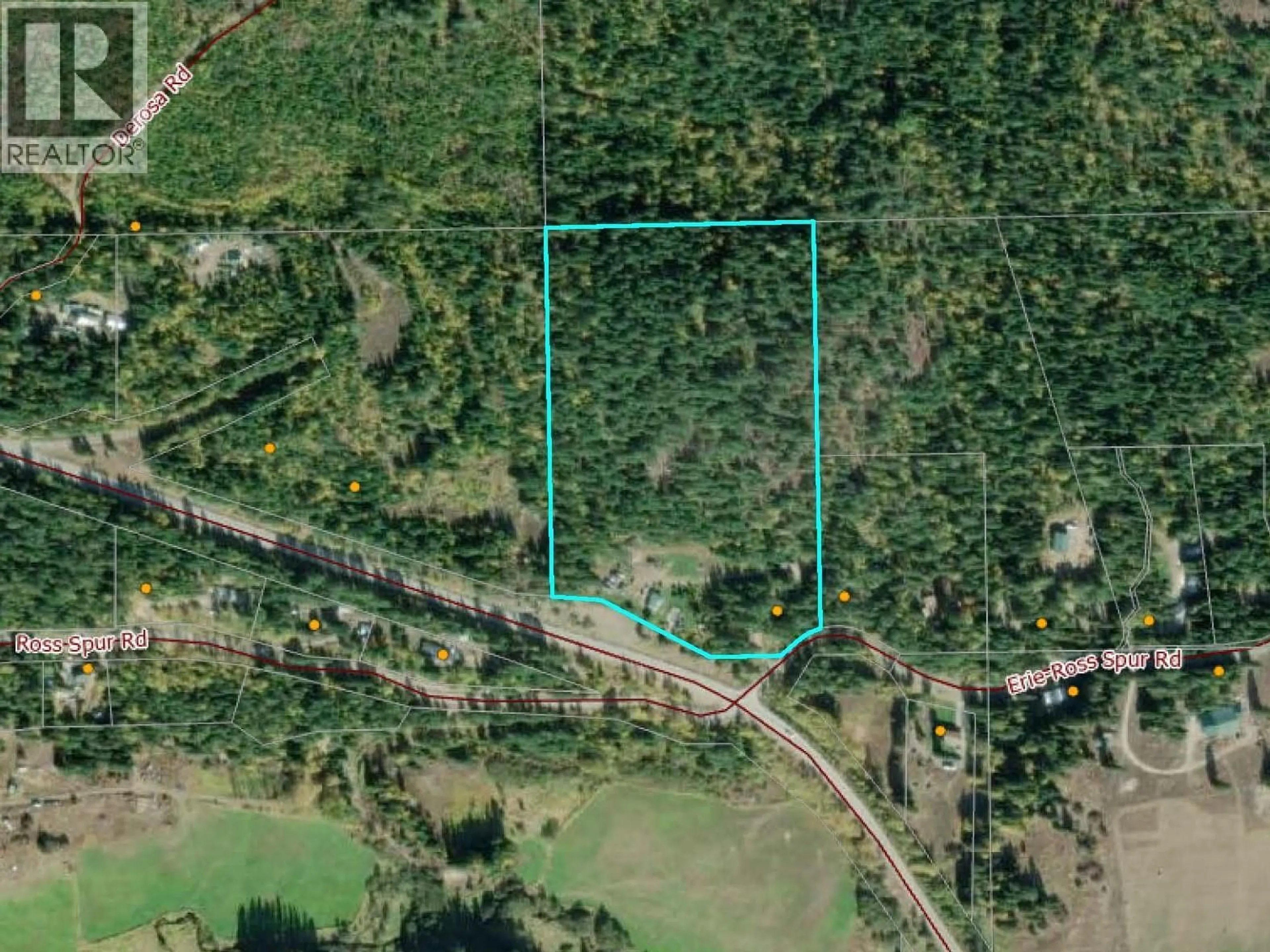 A pic from outside/outdoor area/front of a property/back of a property/a pic from drone, forest/trees view for 4405 ERIE ROSS-SPUR ROAD, Salmo British Columbia V0G1L1