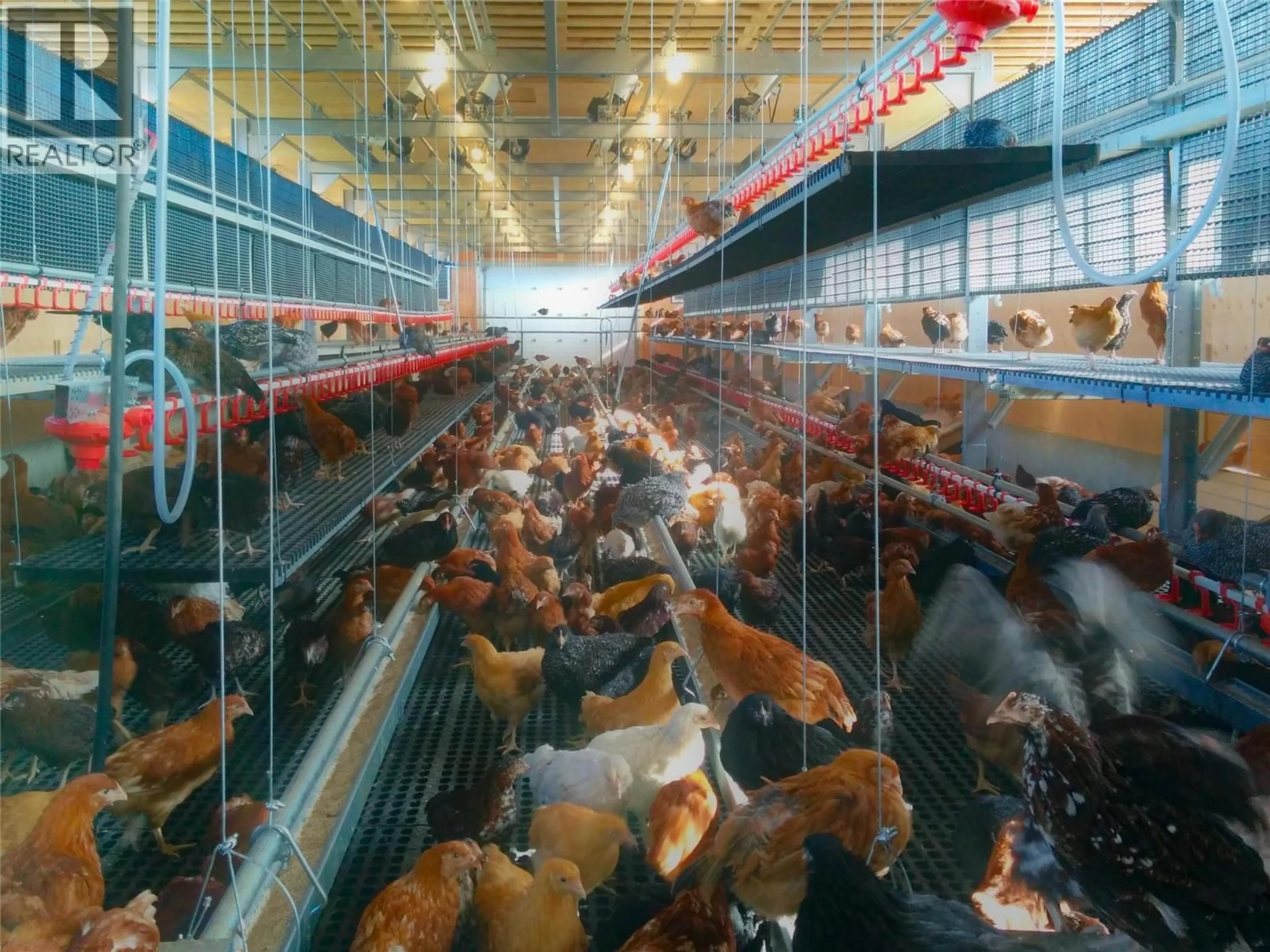 Blurry image for 4780 SLEEPY HOLLOW ROAD, Spallumcheen British Columbia V4Y0T8