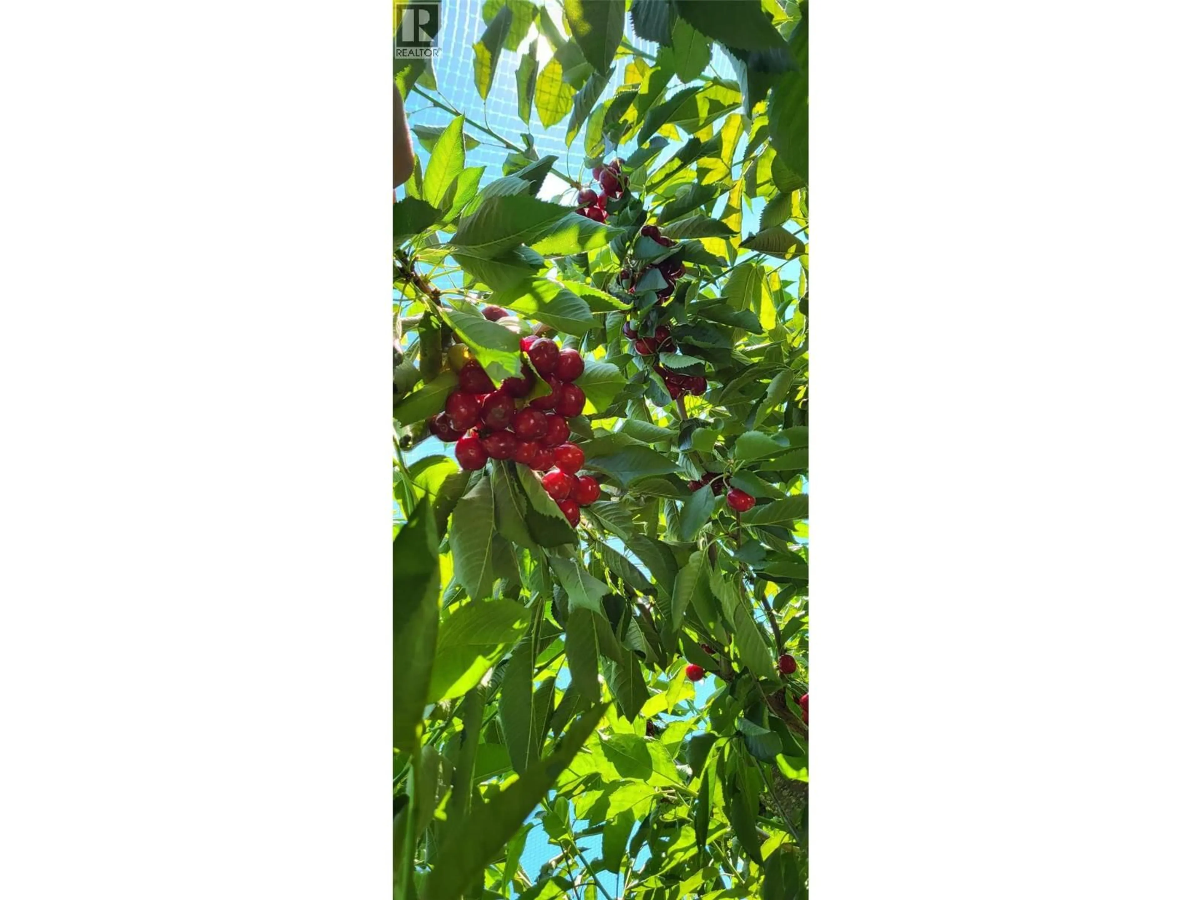 Blurry image for 32 PRESTON CRESCENT, Enderby British Columbia V4Y4C5