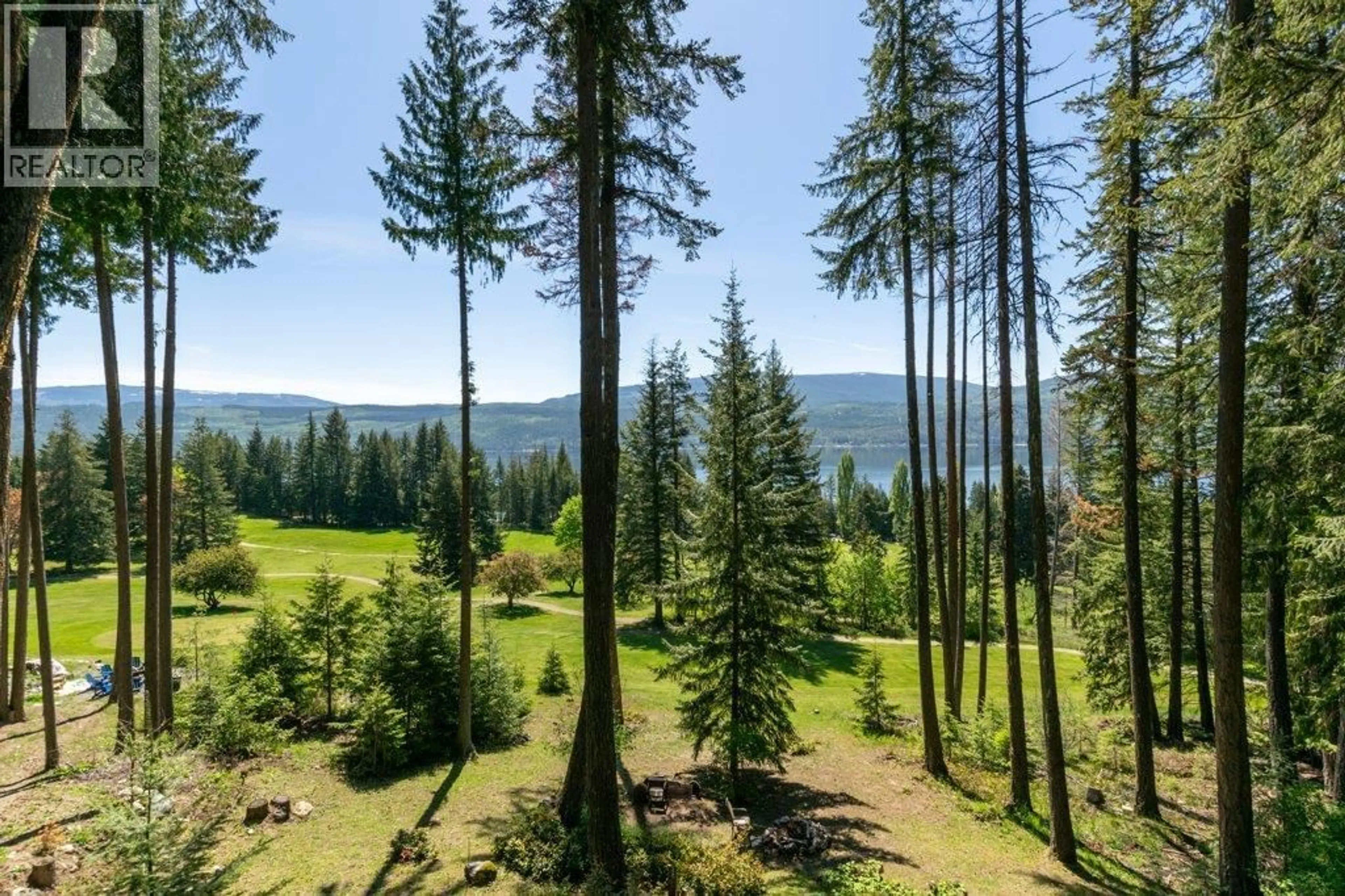 A pic from outside/outdoor area/front of a property/back of a property/a pic from drone, forest/trees view for 7730 COLUMBIA DRIVE, Anglemont British Columbia V0E1M8