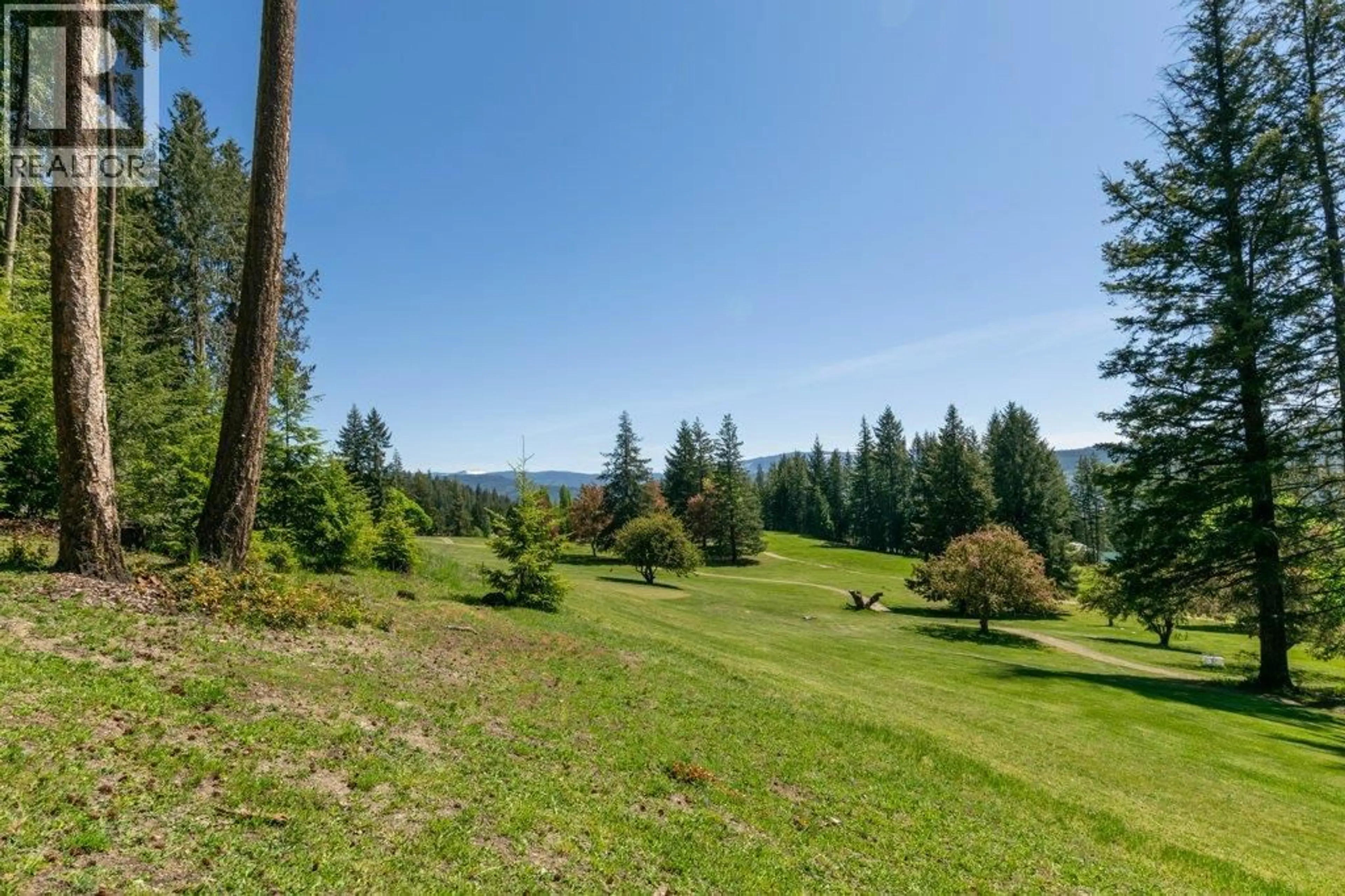 A pic from outside/outdoor area/front of a property/back of a property/a pic from drone, forest/trees view for 7730 COLUMBIA DRIVE, Anglemont British Columbia V0E1M8