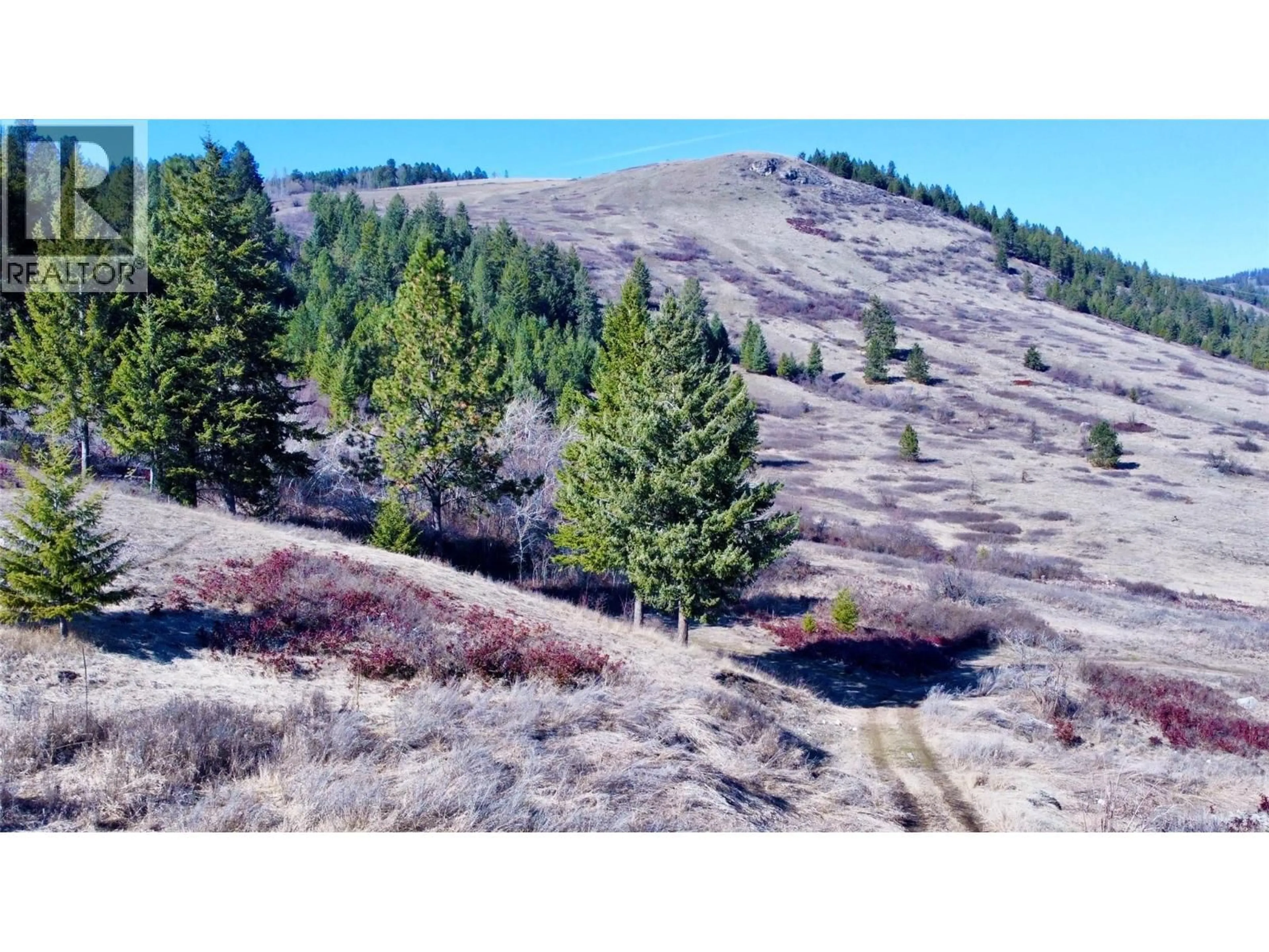 A pic from outside/outdoor area/front of a property/back of a property/a pic from drone, forest/trees view for 3775 HARDY MOUNTAIN ROAD, Grand Forks British Columbia V0H1H2