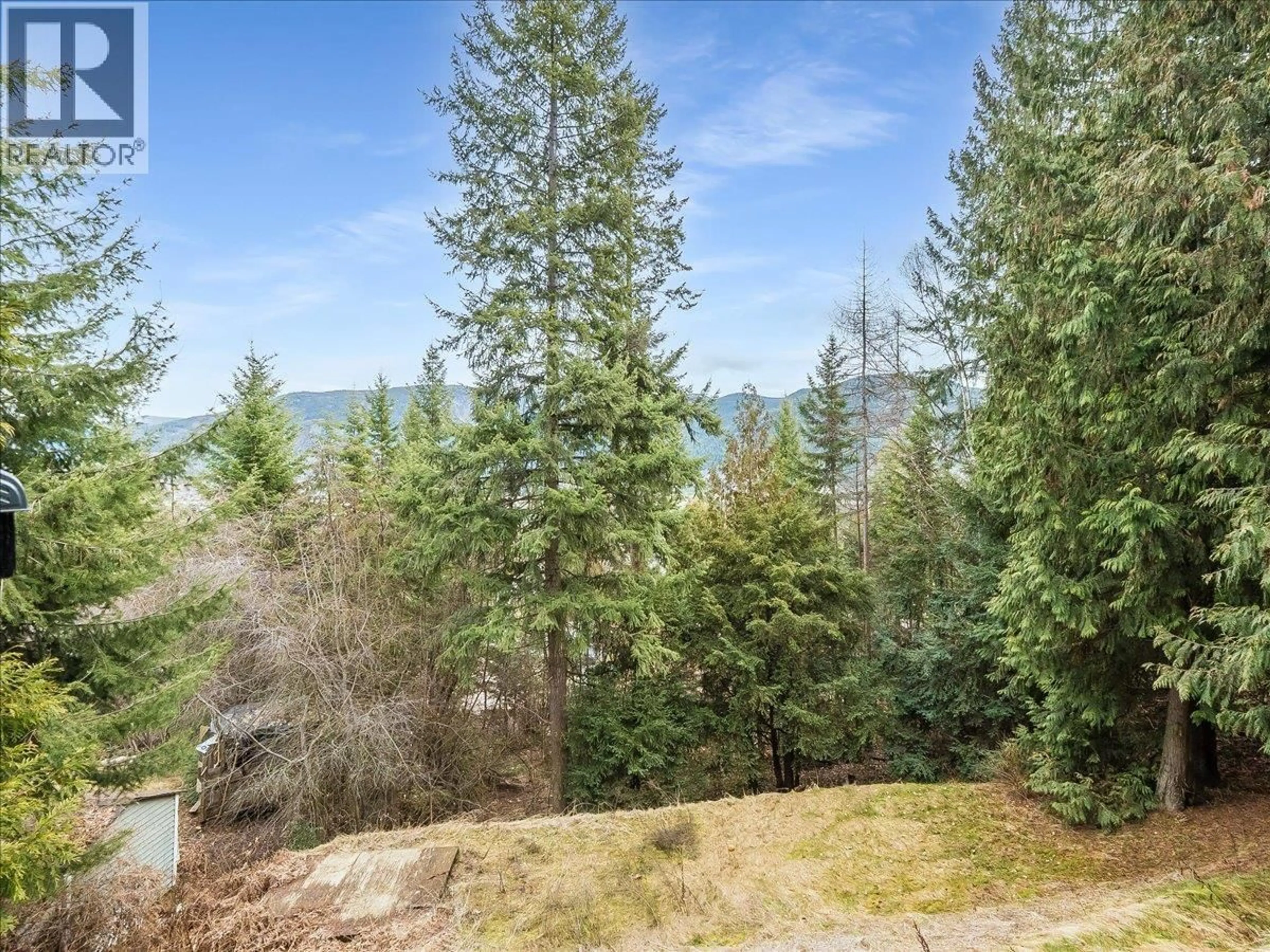 A pic from outside/outdoor area/front of a property/back of a property/a pic from drone, forest/trees view for 2421 12TH AVENUE, Castlegar British Columbia V1N4A9