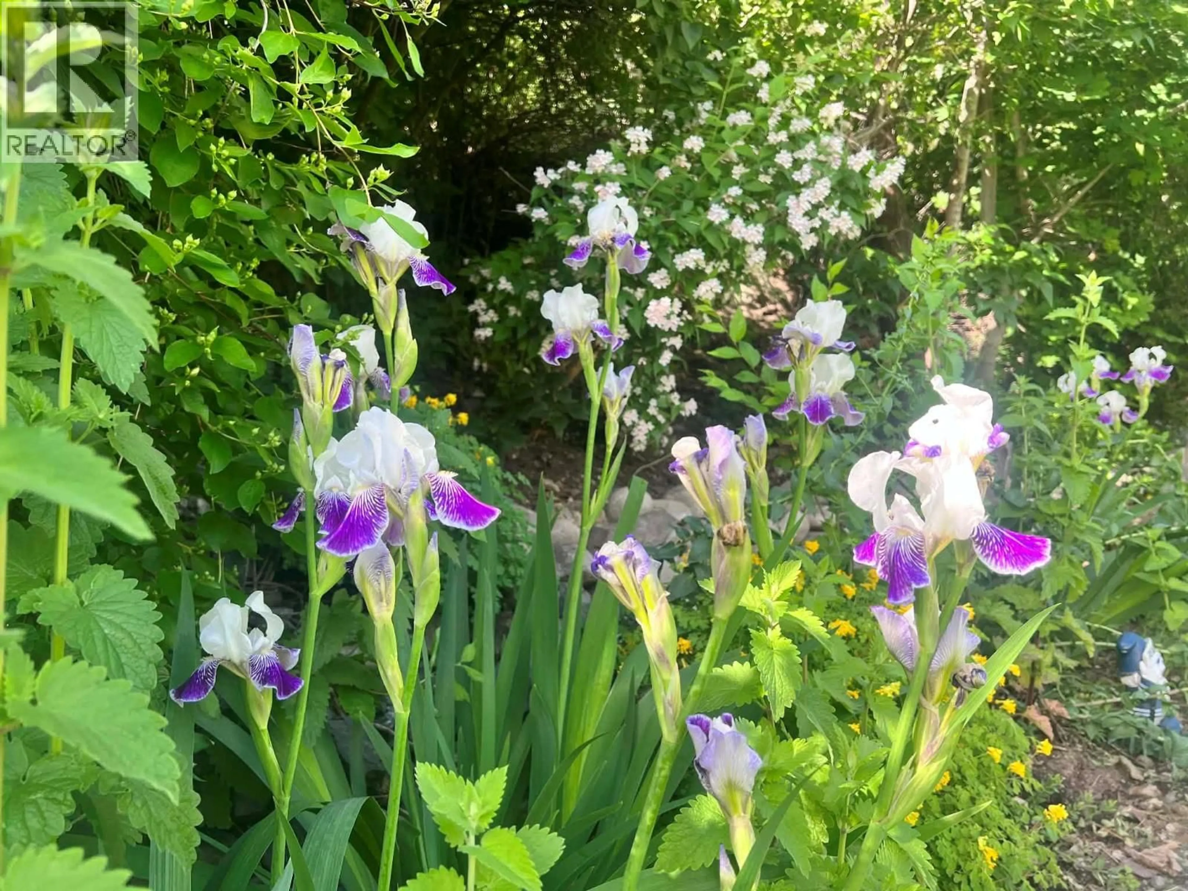 Blurry image for 3 - 12612 GIANTS HEAD ROAD, Summerland British Columbia V0H1Z7