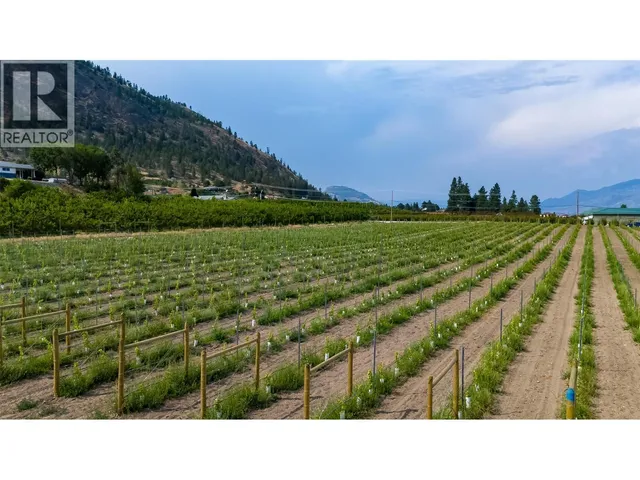 5711 WHITE STREET, Summerland 4