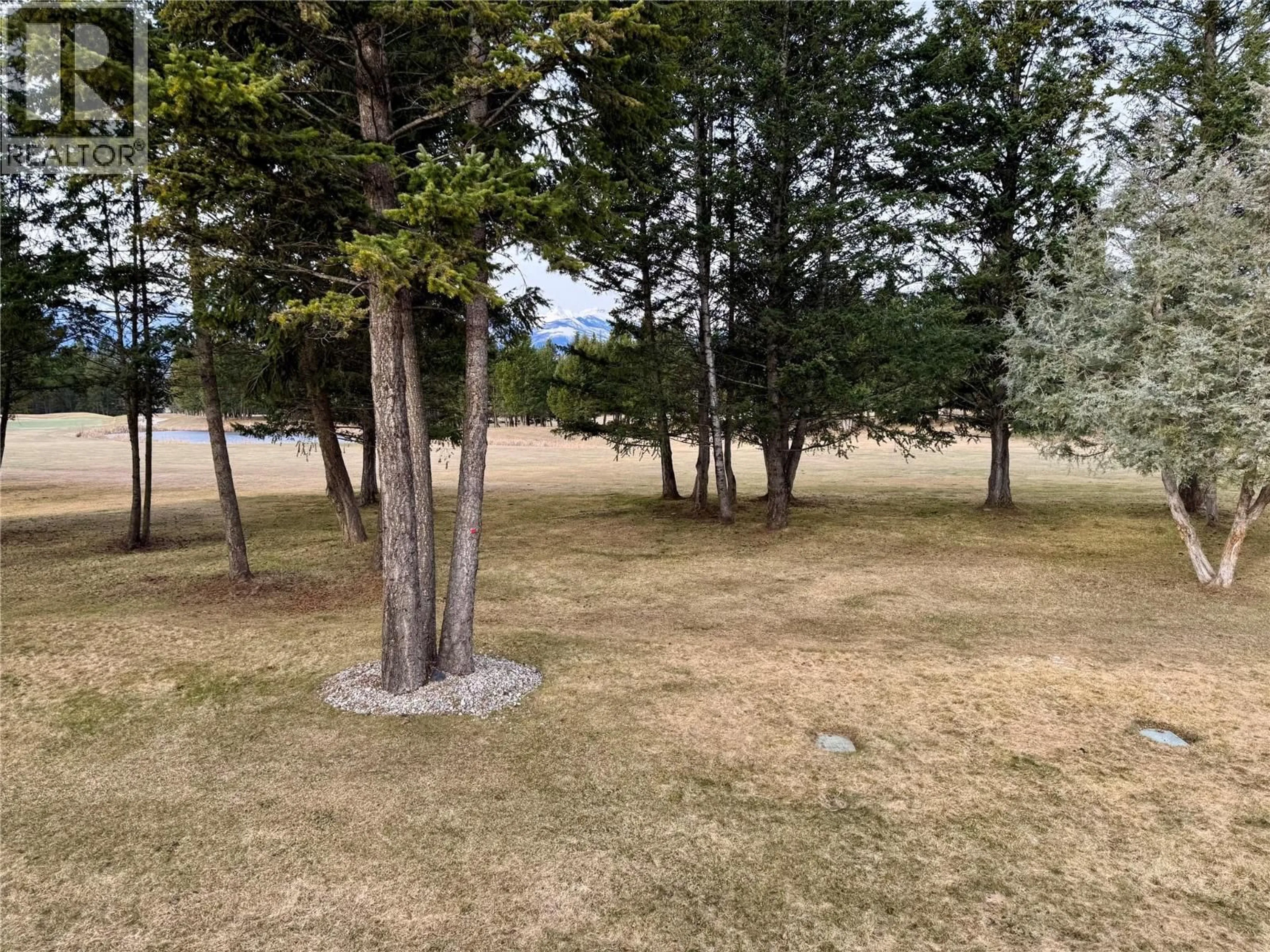 A pic from outside/outdoor area/front of a property/back of a property/a pic from drone, forest/trees view for 4 - 7559 COLUMBIA AVENUE, Radium Hot Springs British Columbia V0A1M0