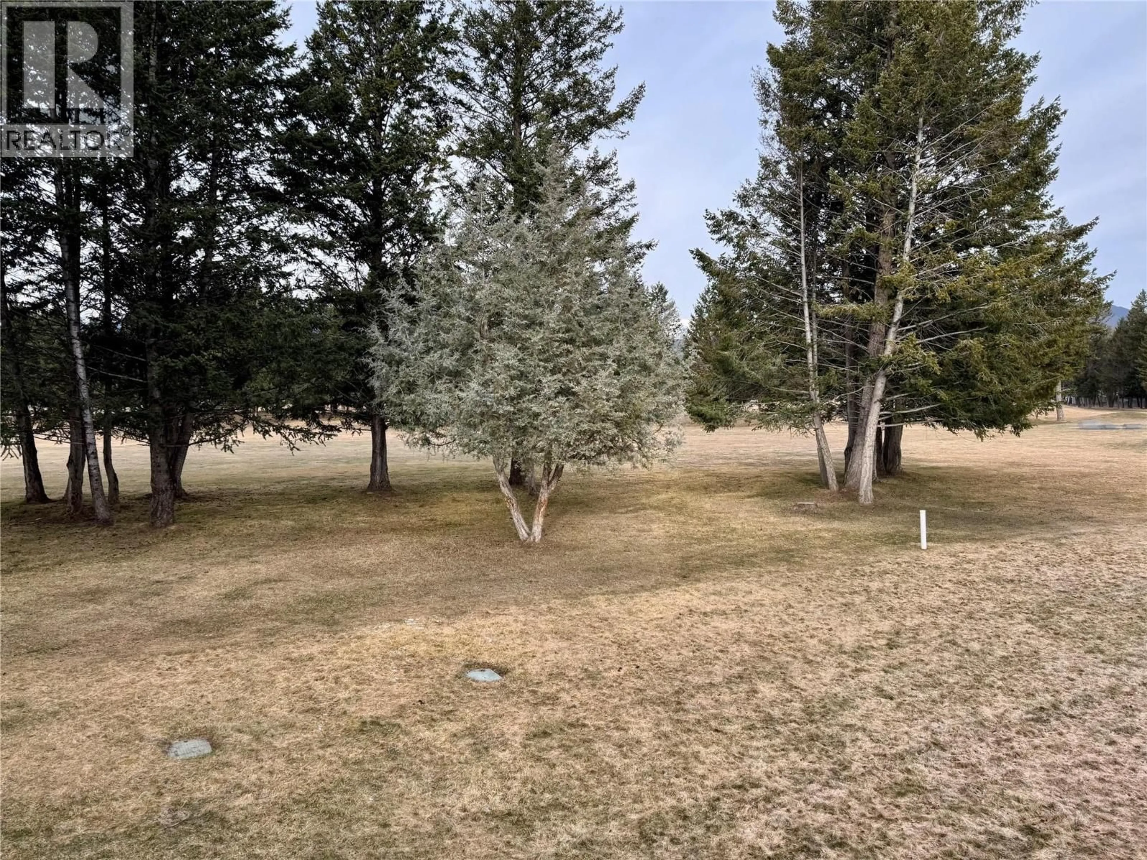 A pic from outside/outdoor area/front of a property/back of a property/a pic from drone, forest/trees view for 4 - 7559 COLUMBIA AVENUE, Radium Hot Springs British Columbia V0A1M0