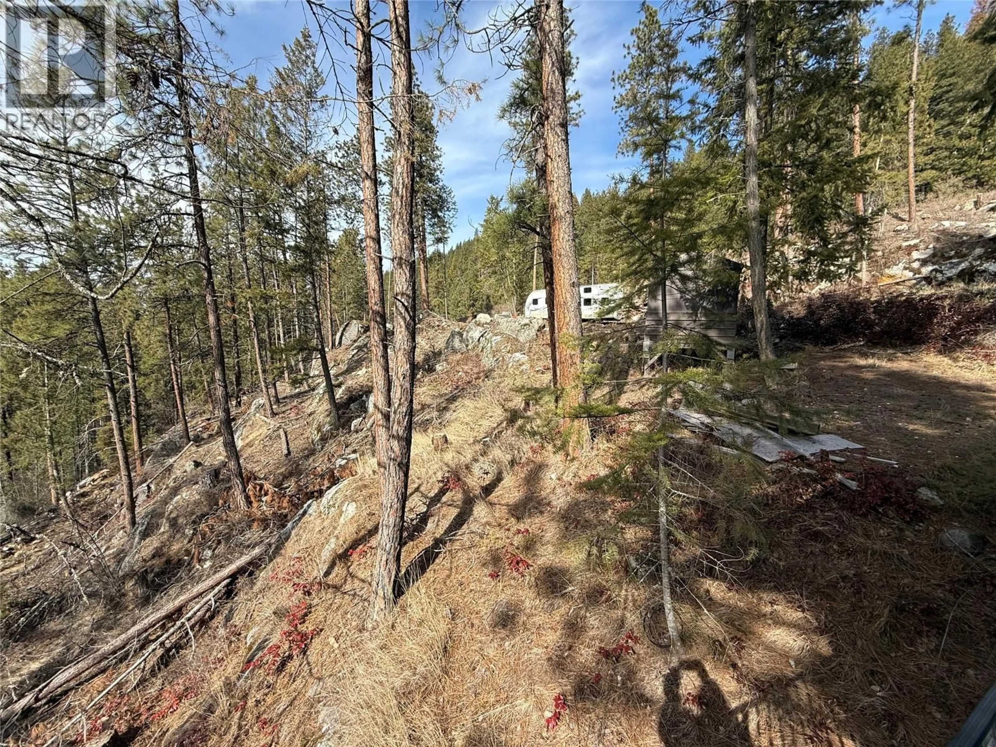 A pic from outside/outdoor area/front of a property/back of a property/a pic from drone, forest/trees view for 9779 3A HIGHWAY, Kuskanook British Columbia V0B1A1