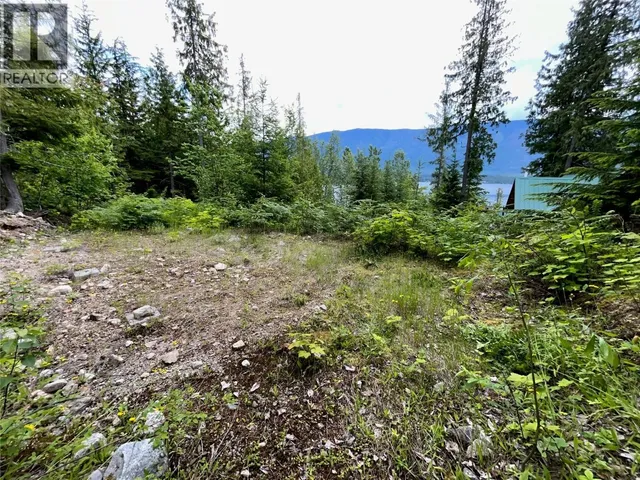 20-9000 SEYMOUR MAIN OTHER, Seymour Arm 4