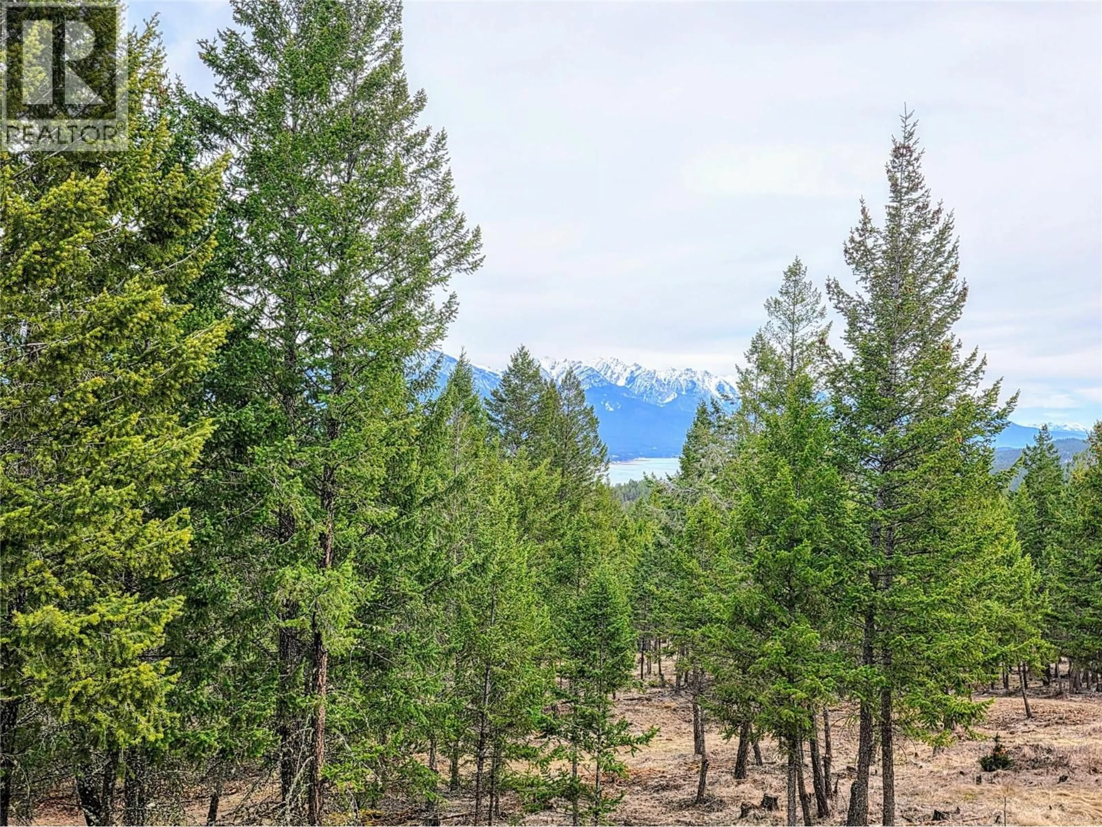 A pic from outside/outdoor area/front of a property/back of a property/a pic from drone, forest/trees view for 5 - 2600 RIVERROCK WAY, Invermere British Columbia V0A1K6