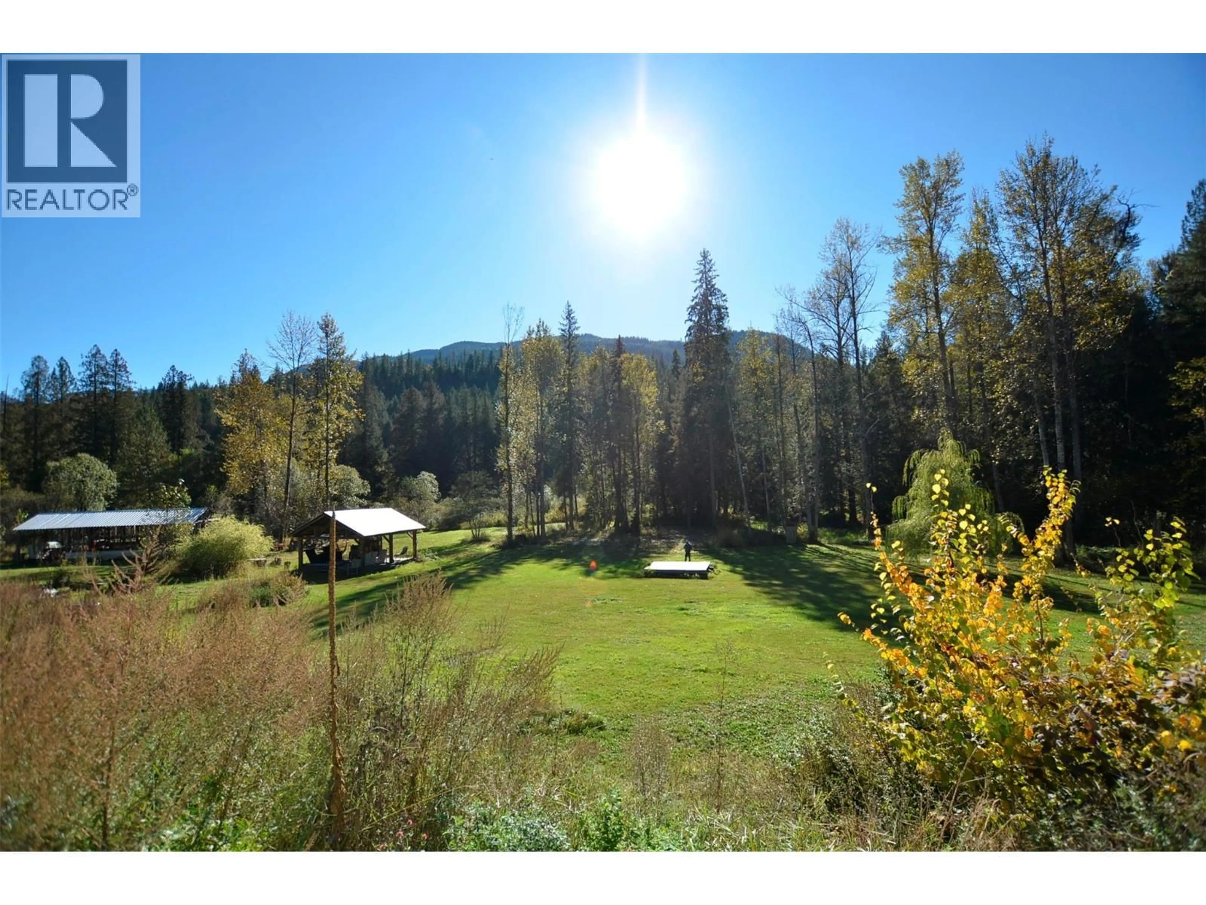 A pic from outside/outdoor area/front of a property/back of a property/a pic from drone, forest/trees view for 5916 FERGUSON FRONTAGE ROAD, Malakwa British Columbia V0E2J0