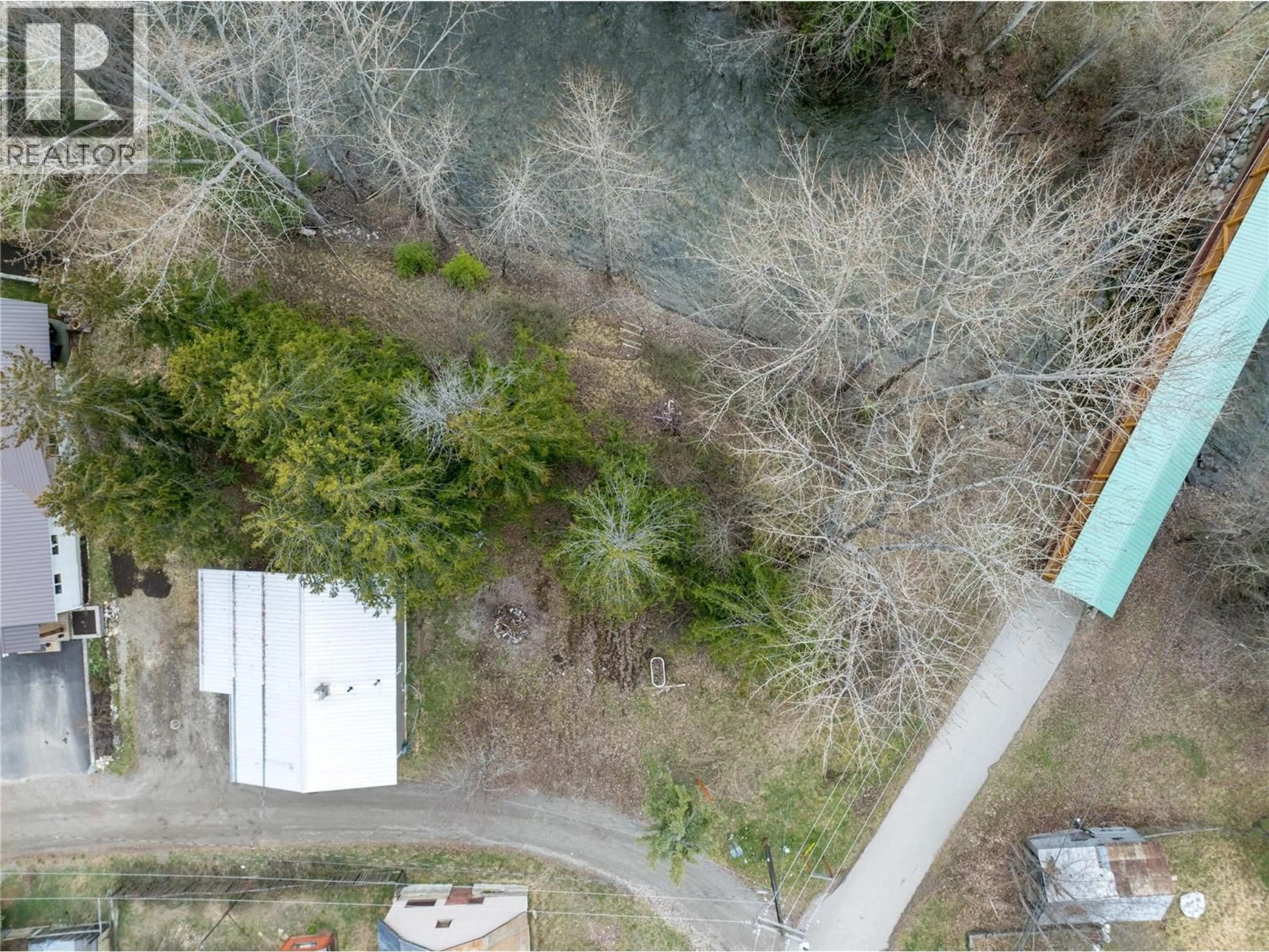 A pic from outside/outdoor area/front of a property/back of a property/a pic from drone, forest/trees view for 411 SIXTH STREET, Salmo British Columbia V0G1Z0