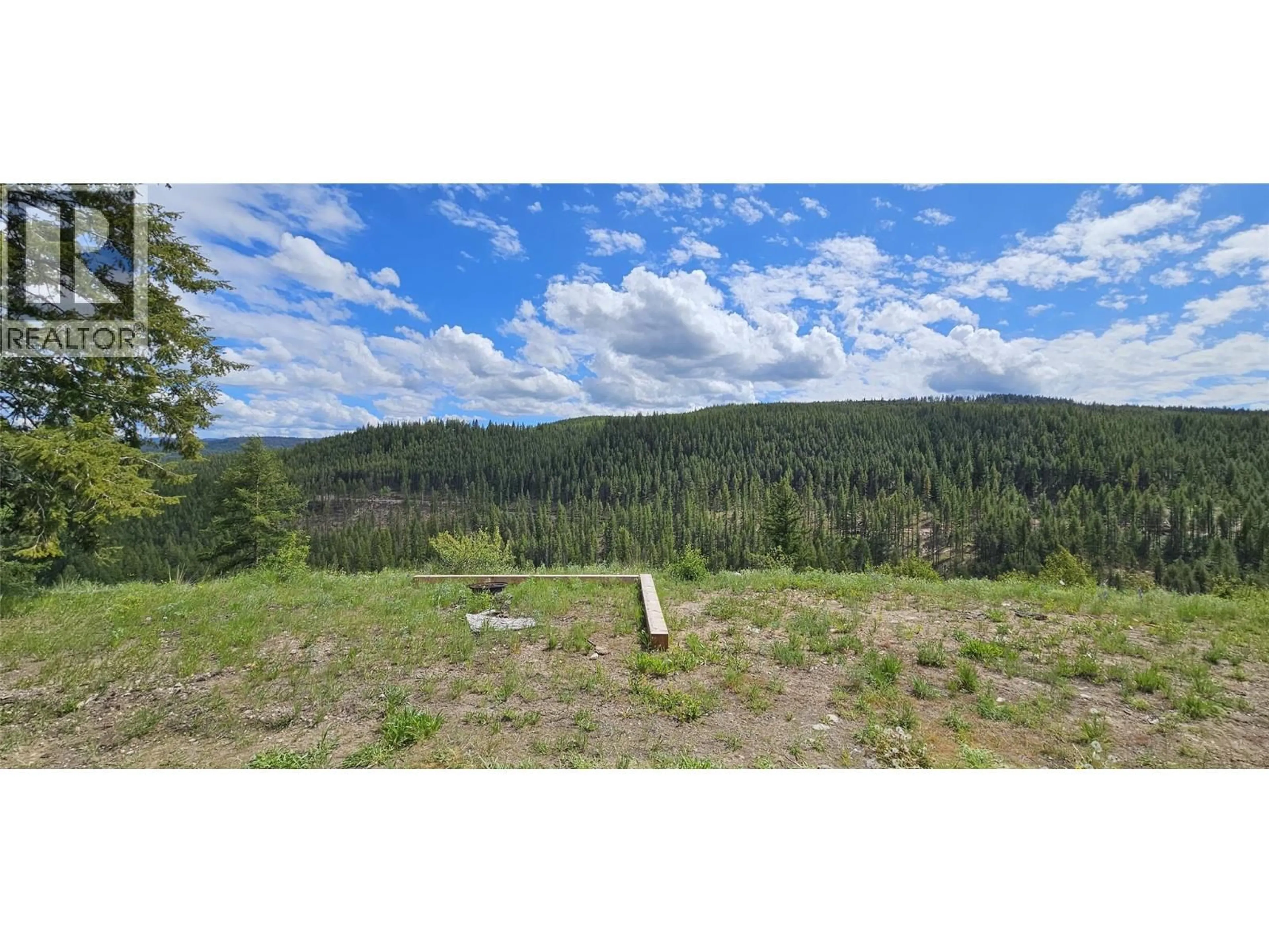 A pic from outside/outdoor area/front of a property/back of a property/a pic from drone, forest/trees view for 5630 BURTON ROAD, Bridesville British Columbia V0H1Y0