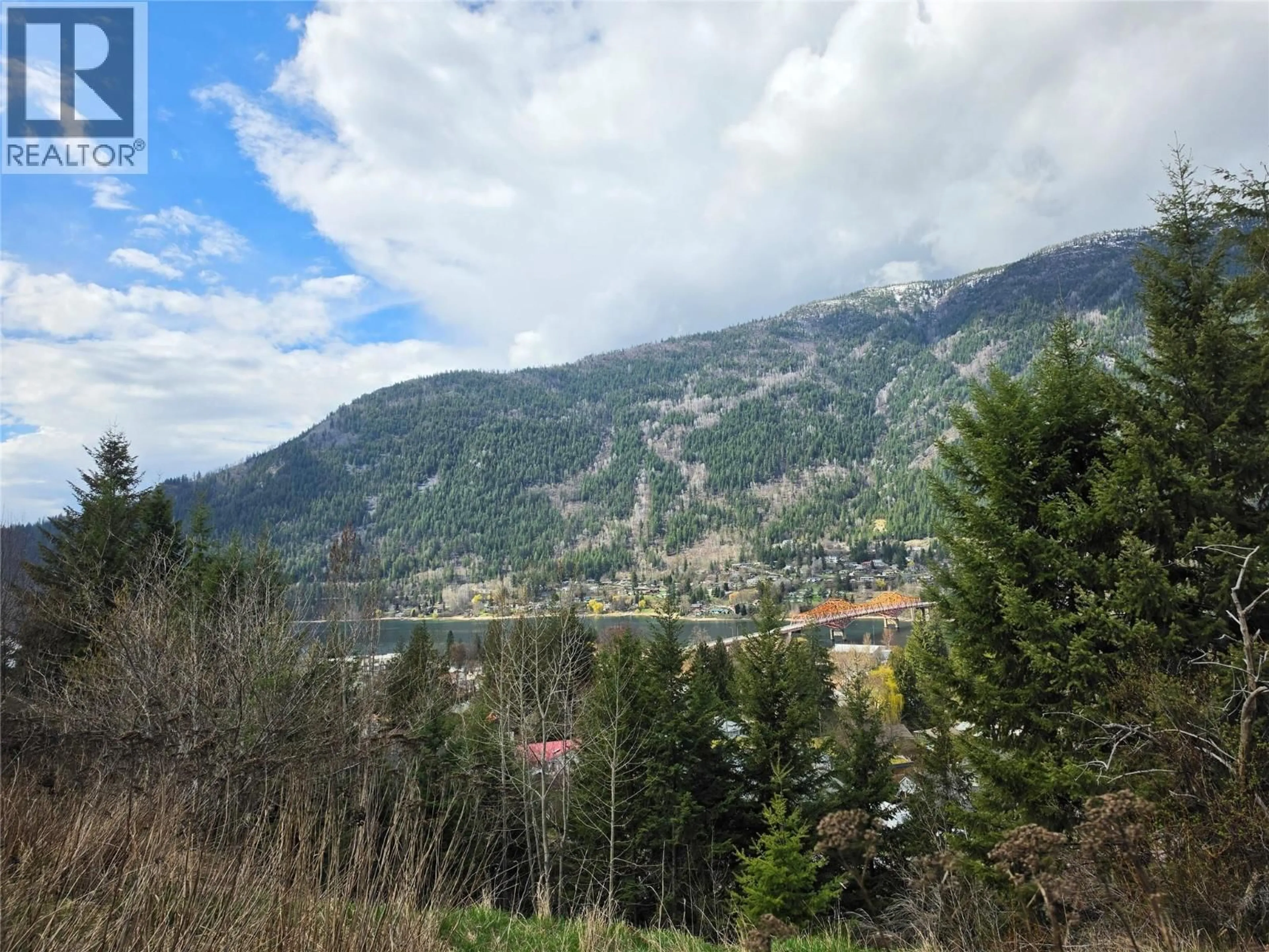 Blurry image for 804 EIGHTH STREET, Nelson British Columbia V1L3B1