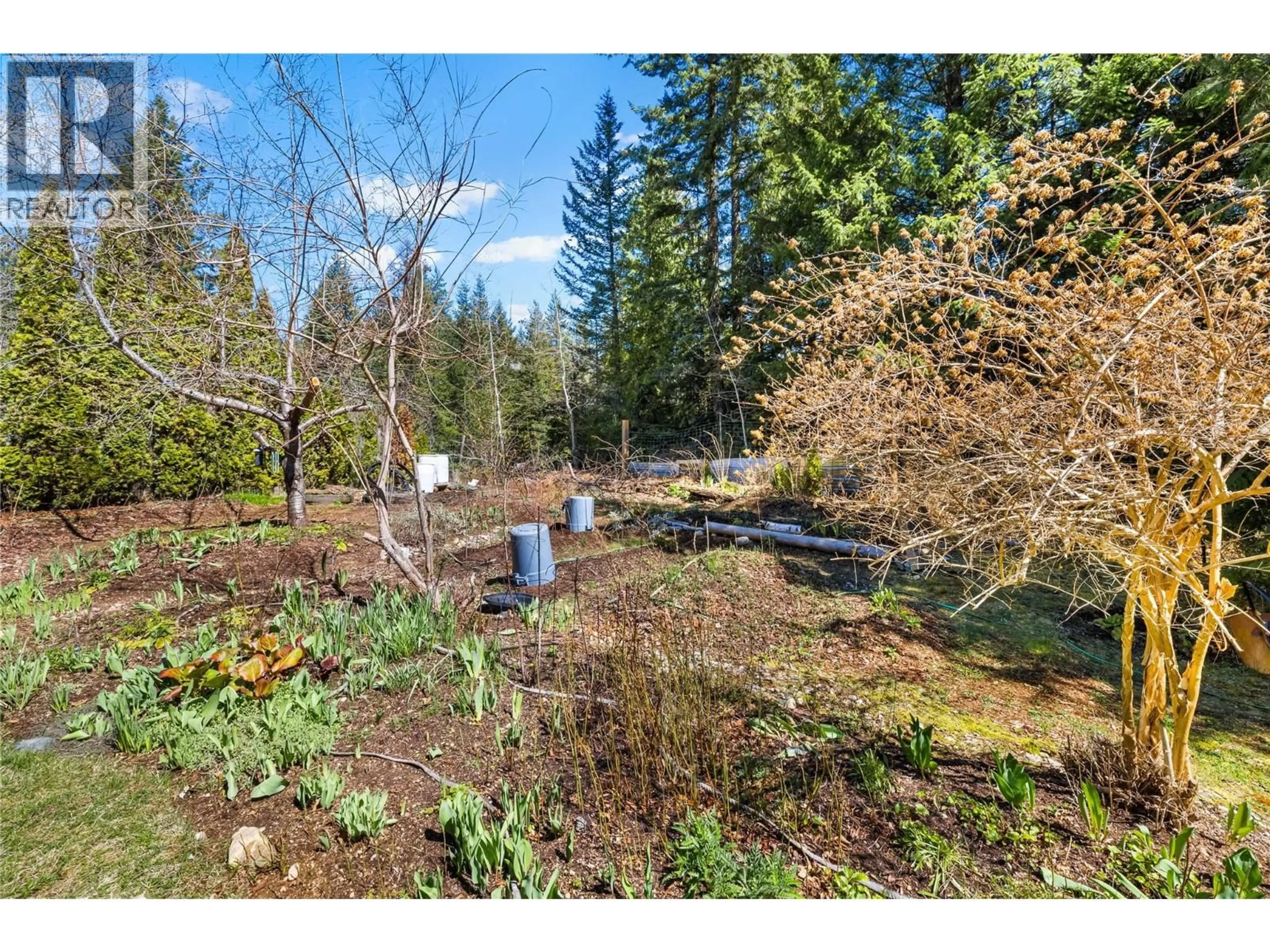 A pic from outside/outdoor area/front of a property/back of a property/a pic from drone, forest/trees view for 16281 3A HIGHWAY, Crawford Bay British Columbia V0B1E0