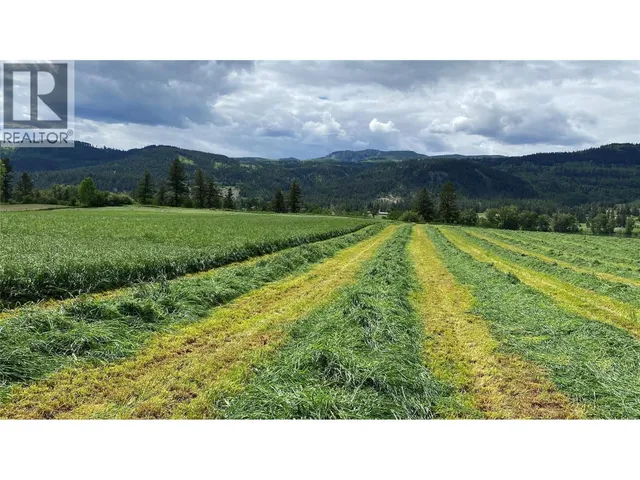 5111 DUNN LAKE ROAD, Barriere 4