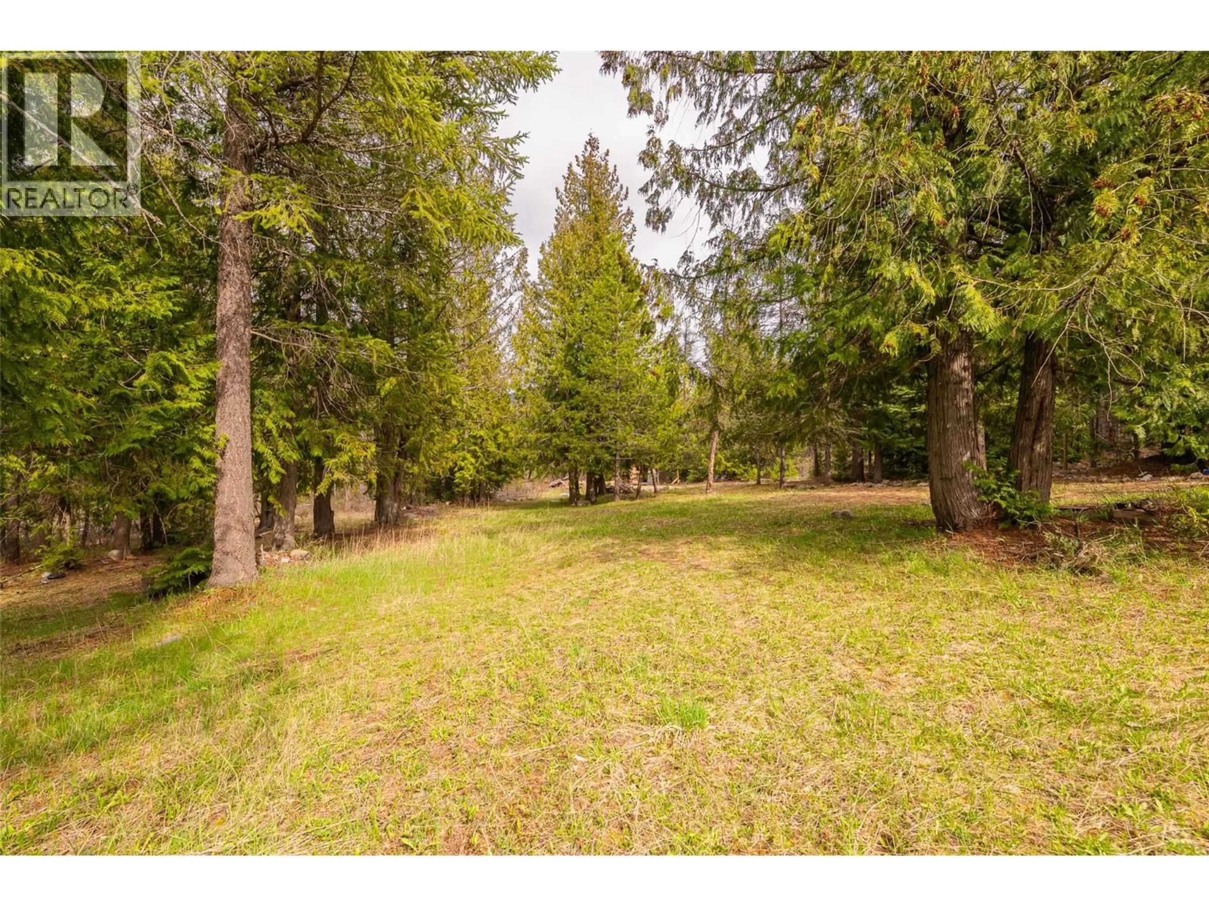 A pic from outside/outdoor area/front of a property/back of a property/a pic from drone, forest/trees view for 420 MACLEOD STREET, Kitchener British Columbia V0B1W1