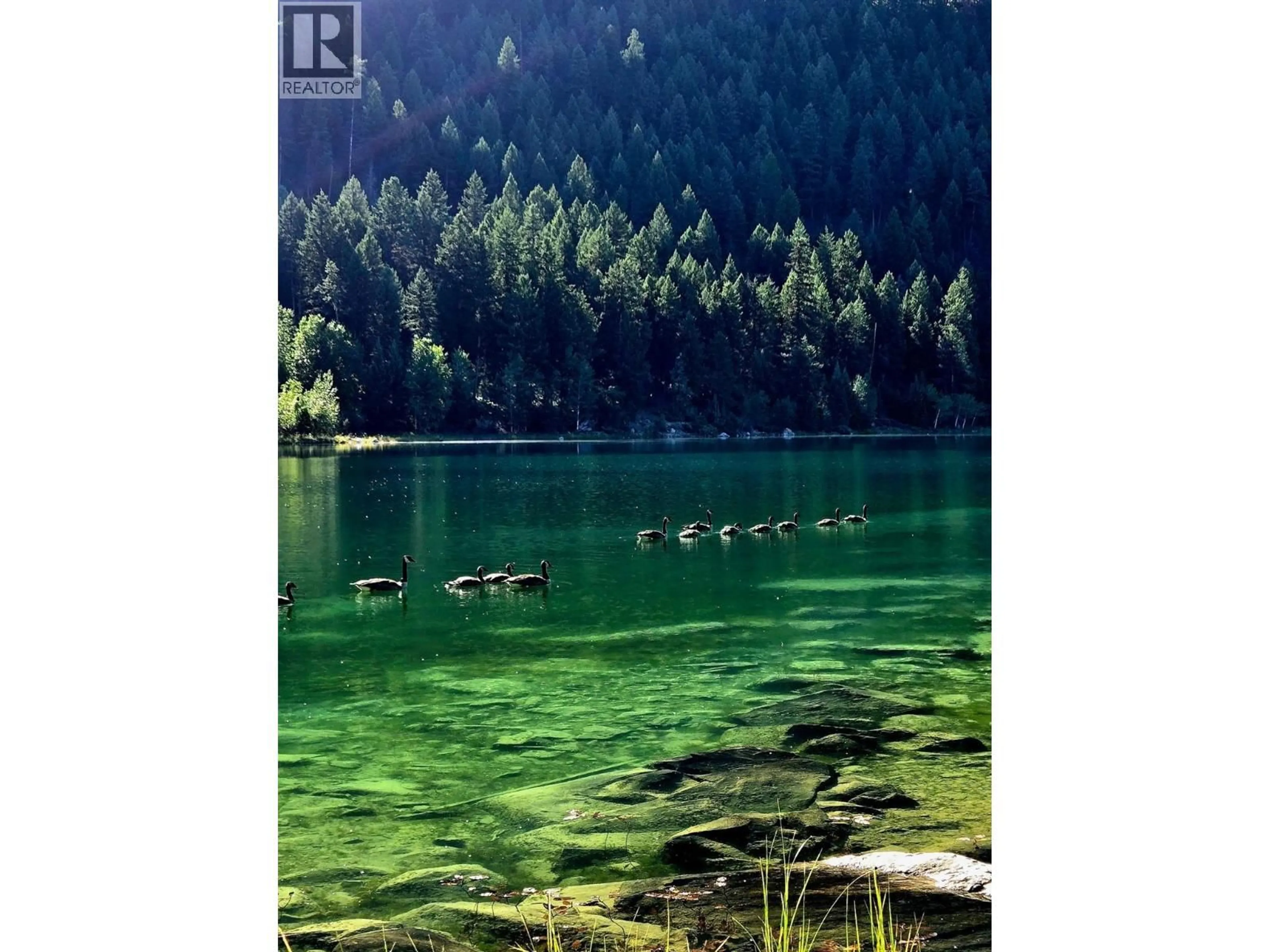 Blurry image for 5648 LAZY LAKE ROAD, Wasa British Columbia V0B2K0