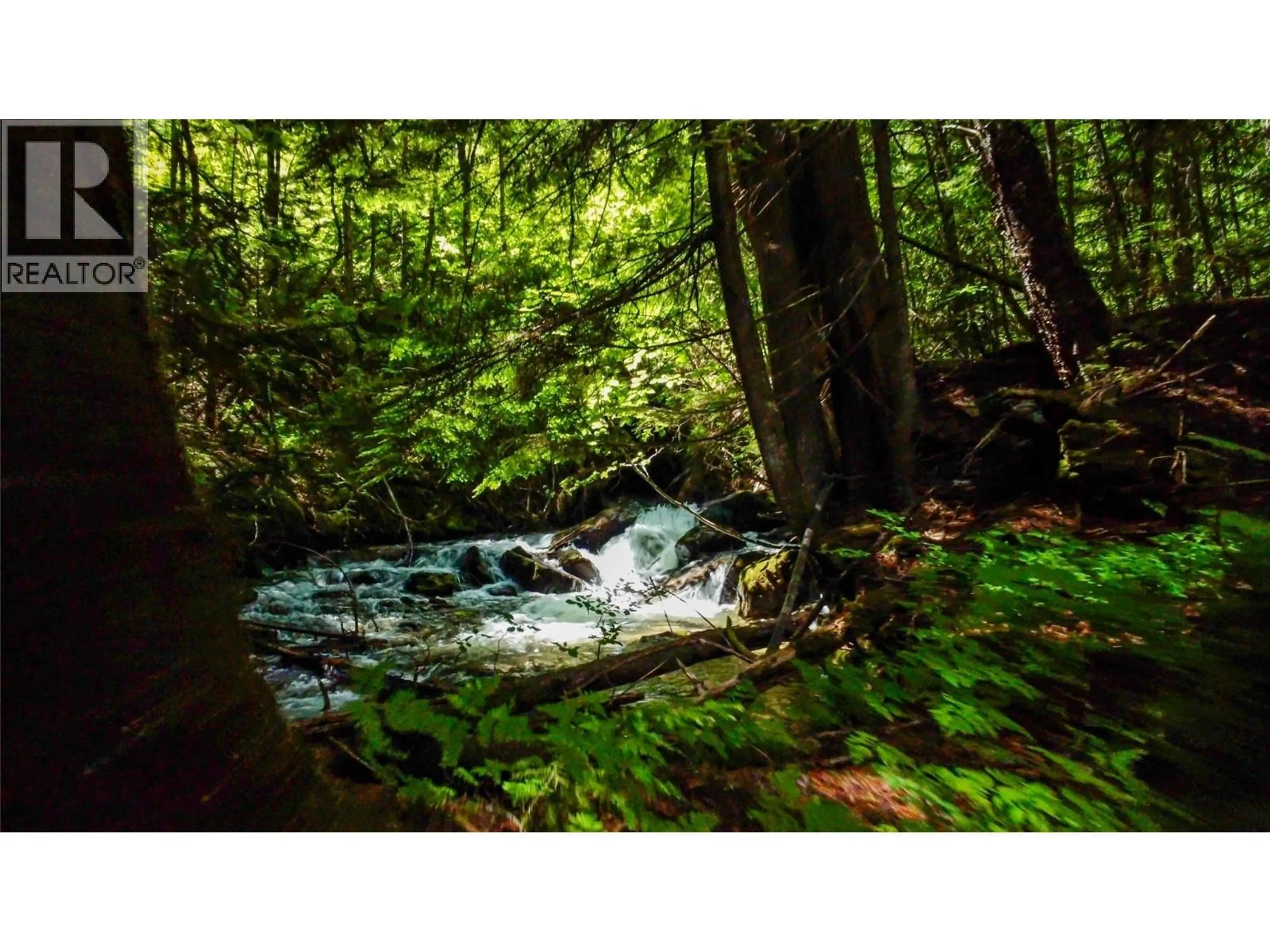 Blurry image for 1750 HIGHWAY 23 SOUTH HIGHWAY SOUTH, Revelstoke British Columbia V0E2S0