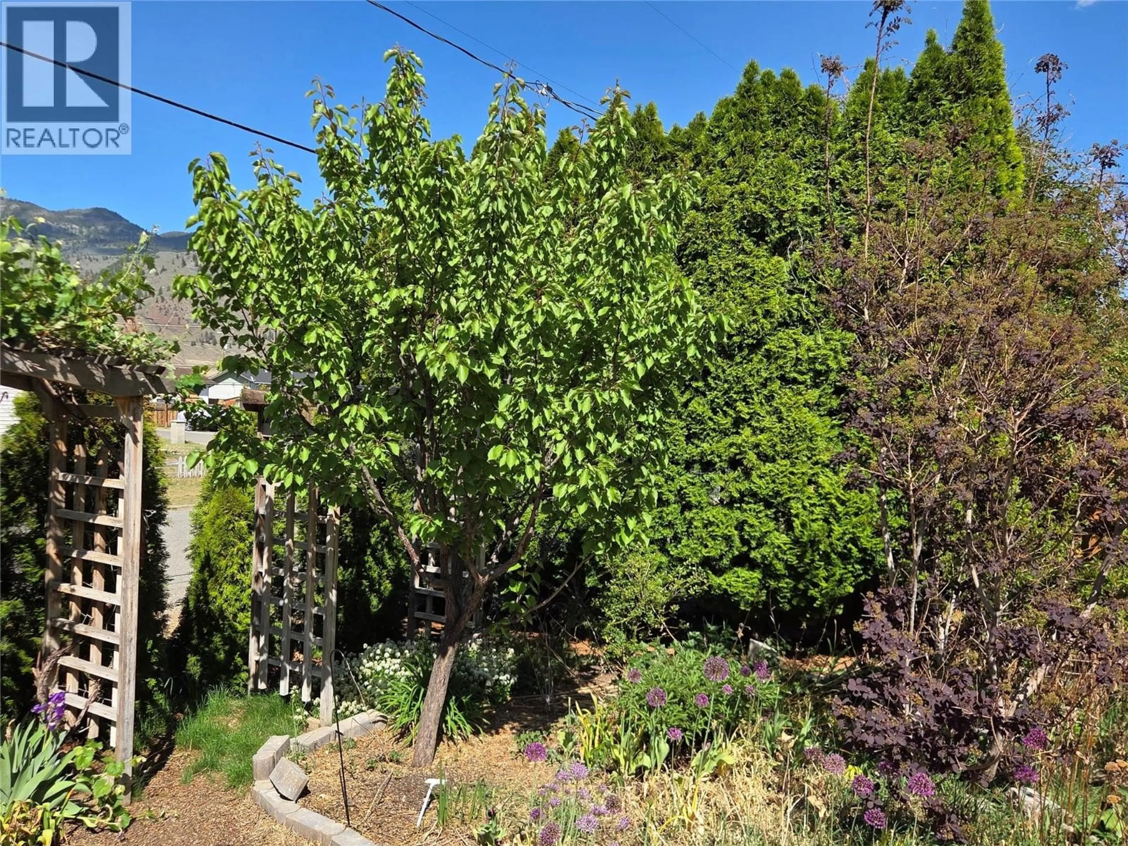 A pic from outside/outdoor area/front of a property/back of a property/a pic from drone, forest/trees view for 425 3RD AVENUE, Keremeos British Columbia V0X1N2
