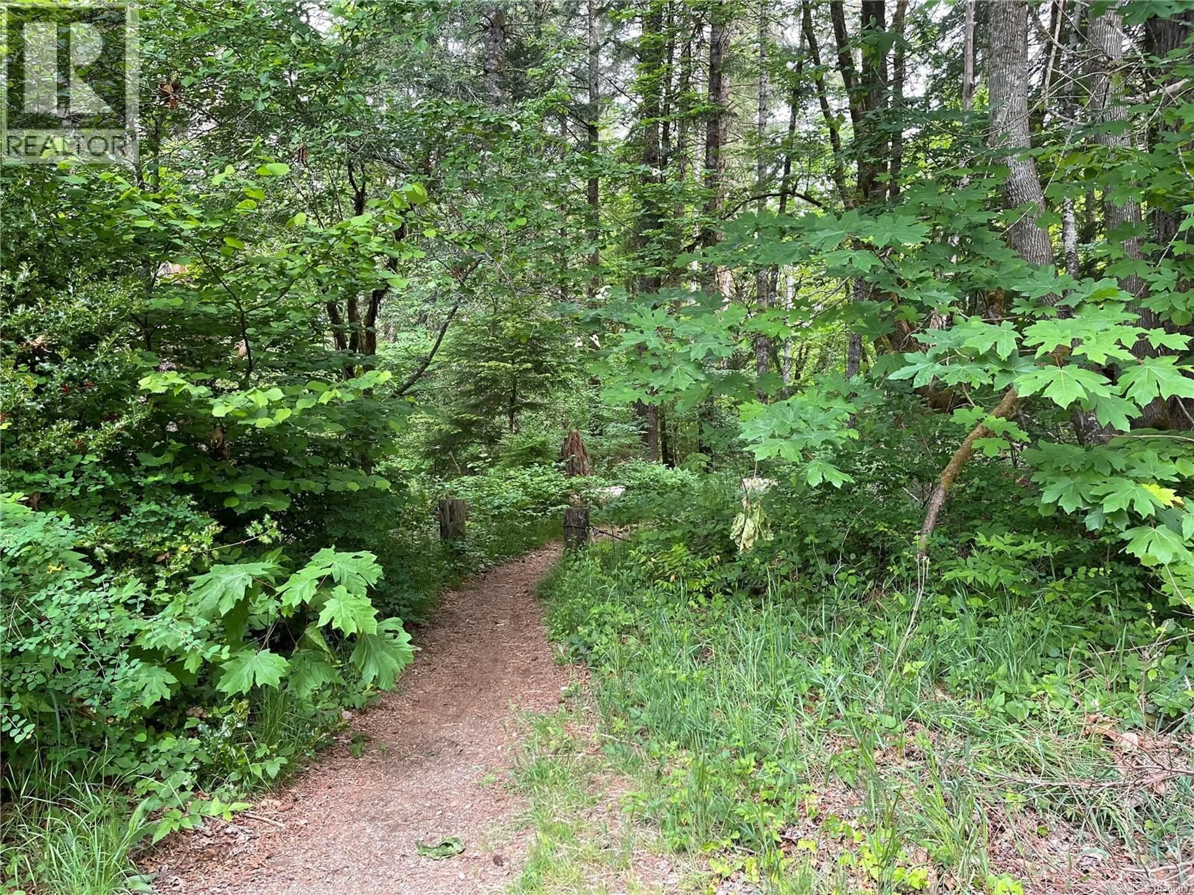 Blurry image for 5543 PARK PLACE, Port Alberni British Columbia V9Y7K1
